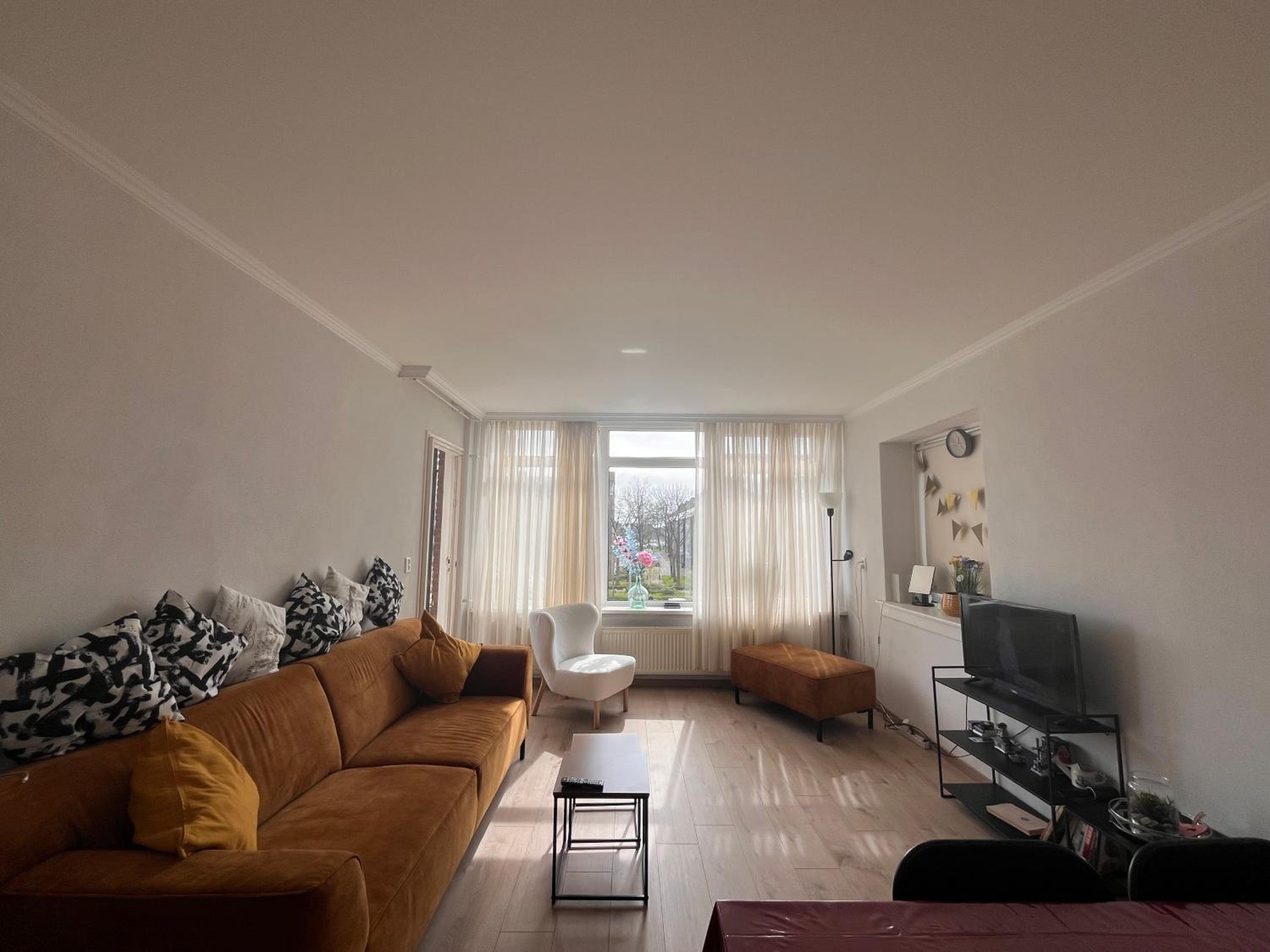 One-Bedroom Apartment photo 3