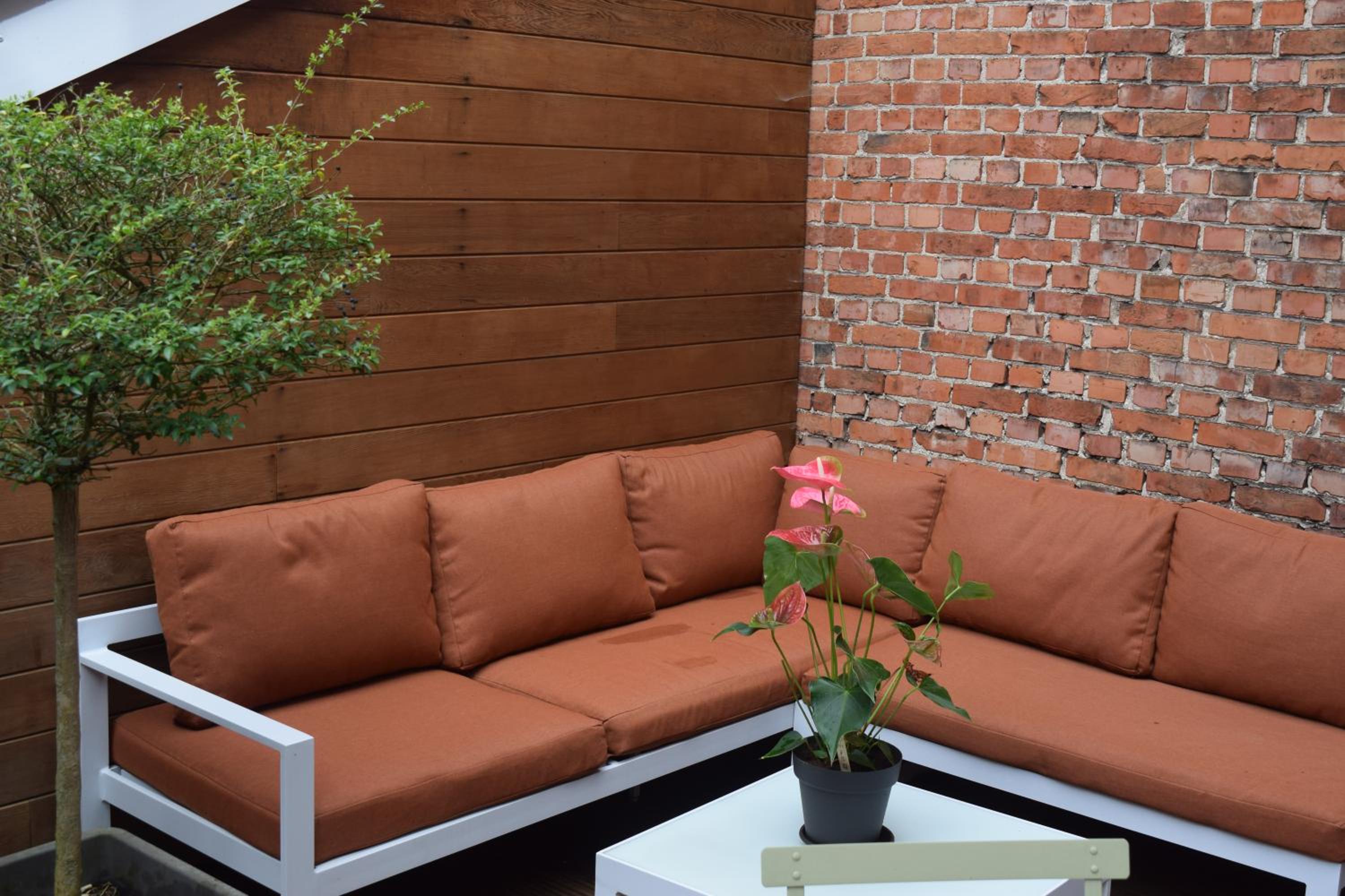 Apartment with Terrace photo 3