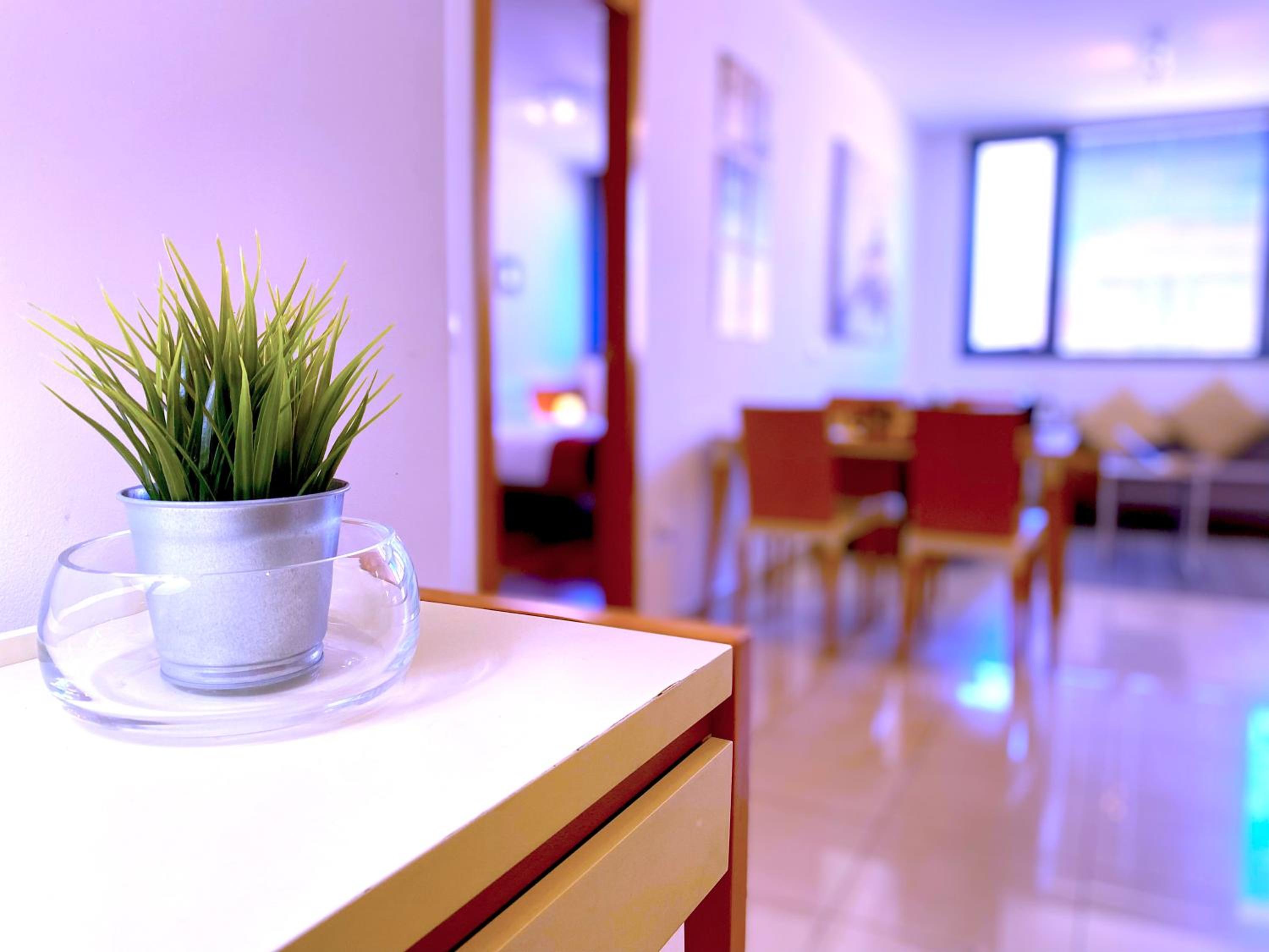 Apartamento Deluxe de Una Habitacion