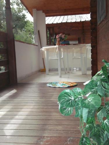 Deluxe Bungalow photo 2