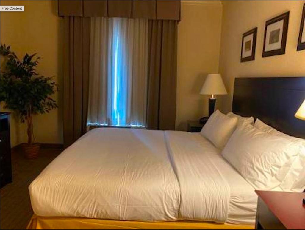 One-Bedroom Suite photo 1