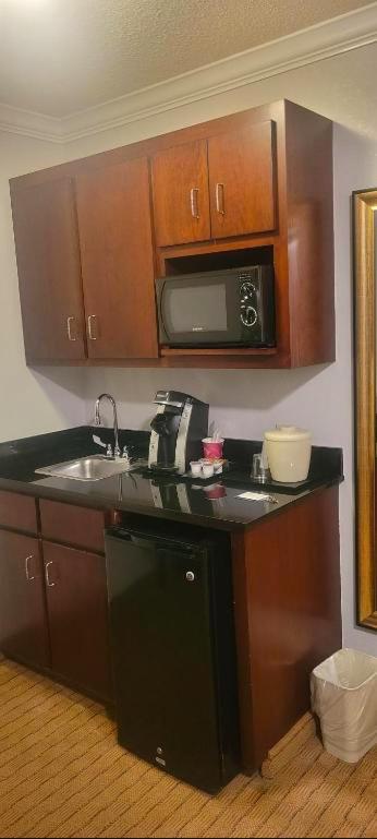 One-Bedroom Suite photo 2