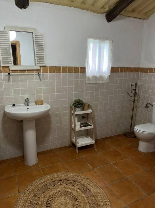 Three-Bedroom House photo 3