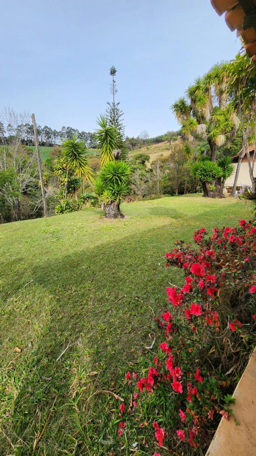 Four-Bedroom Vacation Home photo 2
