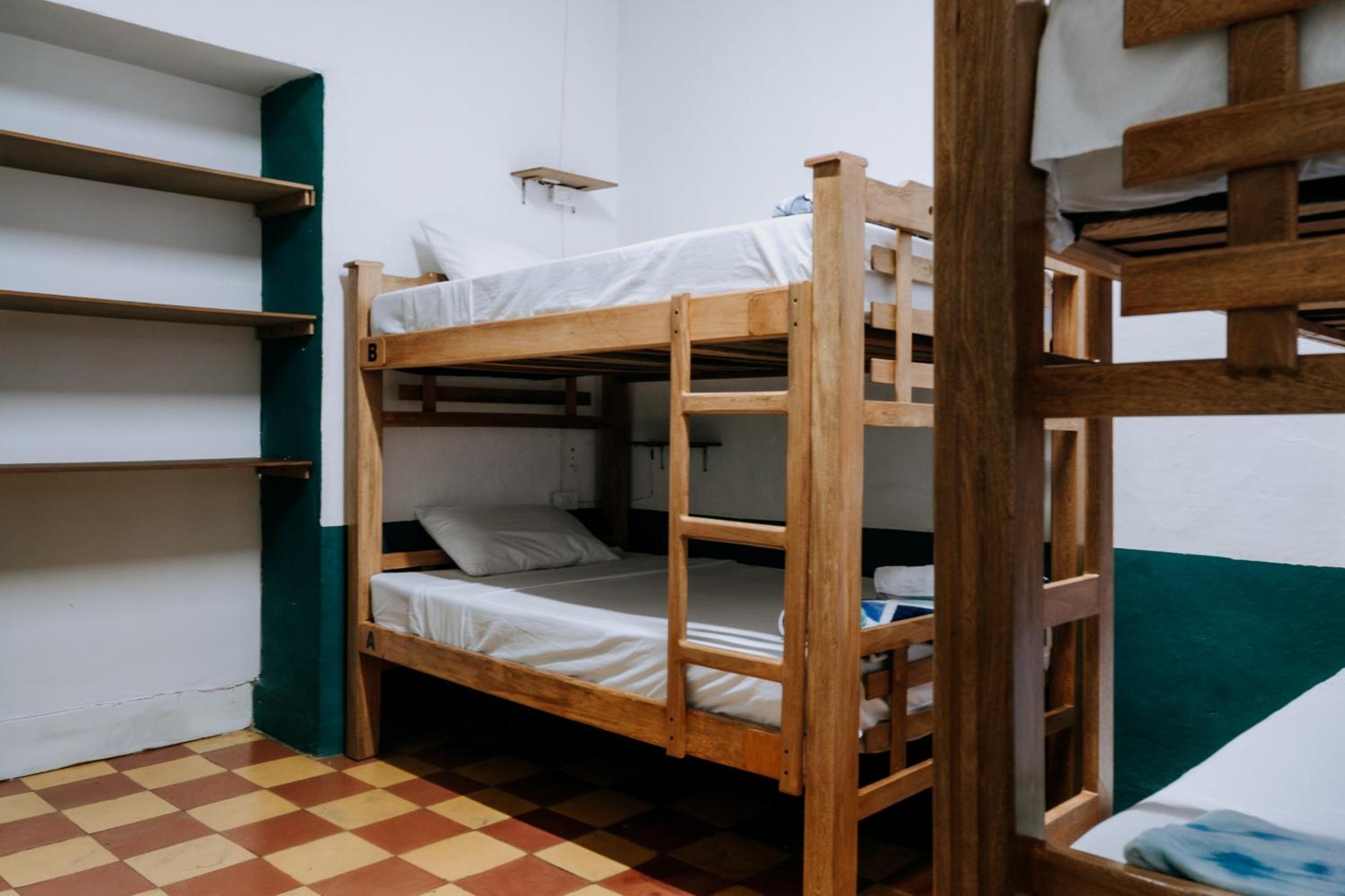 Single Bed in Mixed Dormitory Room photo 1