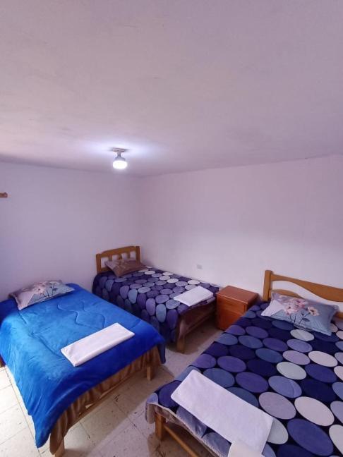 Triple Room photo 1