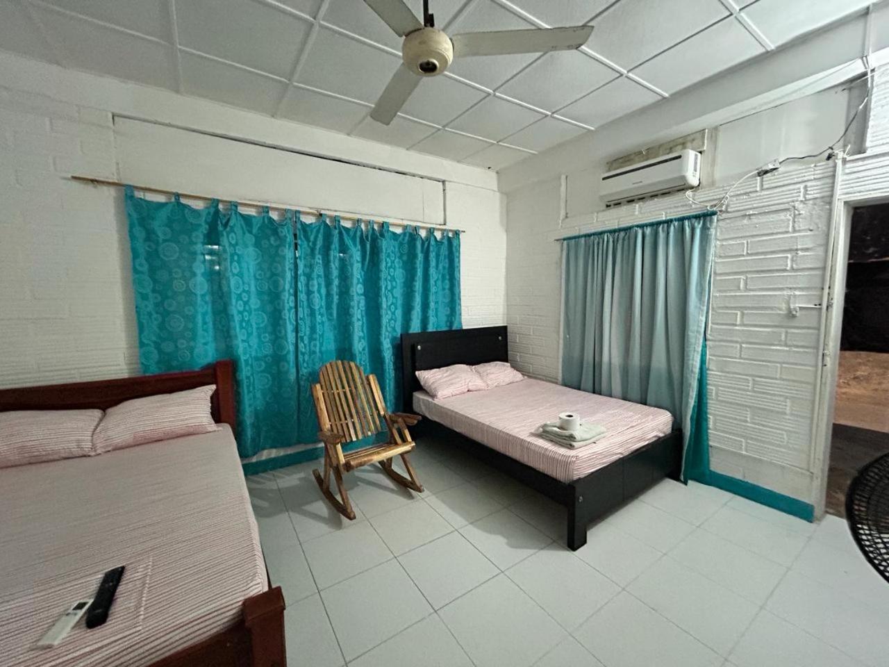 Twin Room photo 2