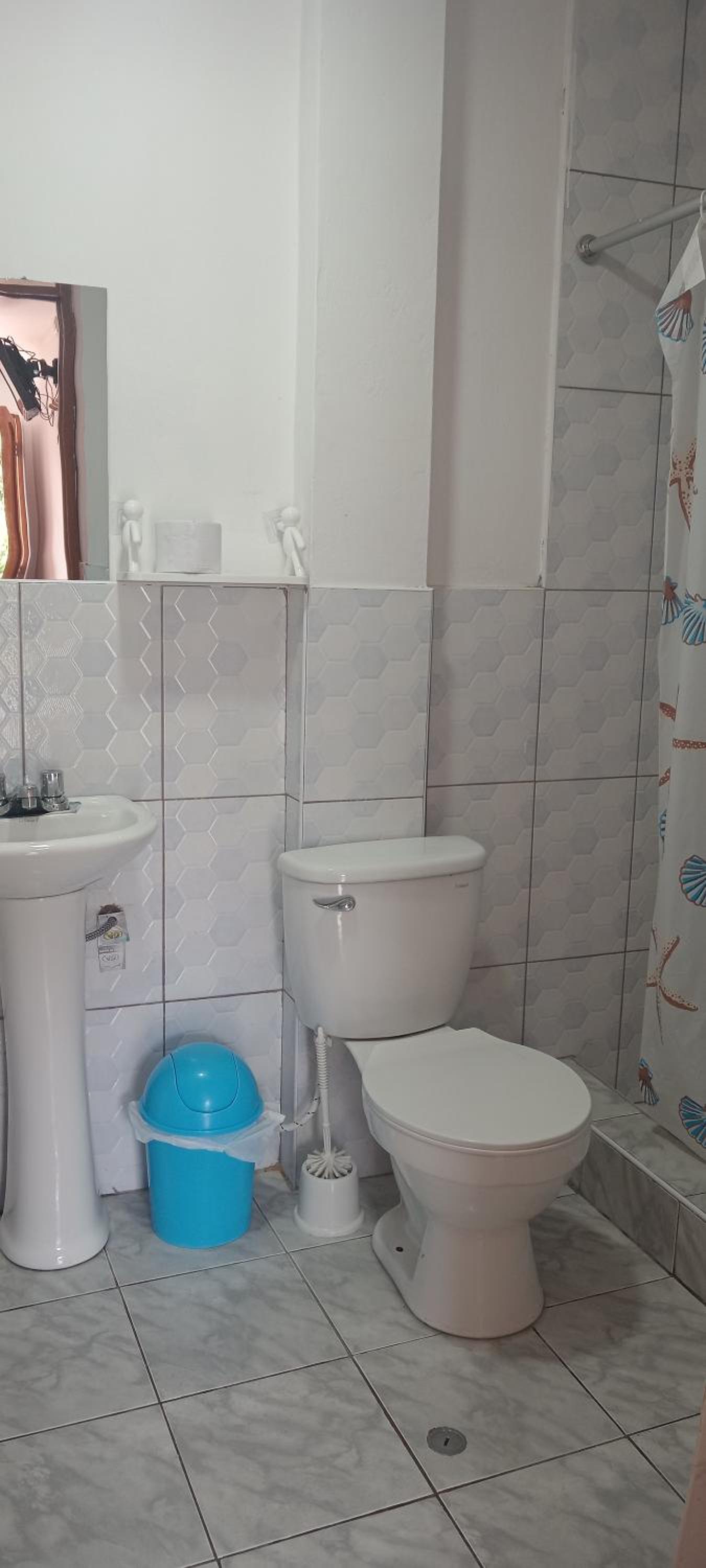 Twin Room photo 2