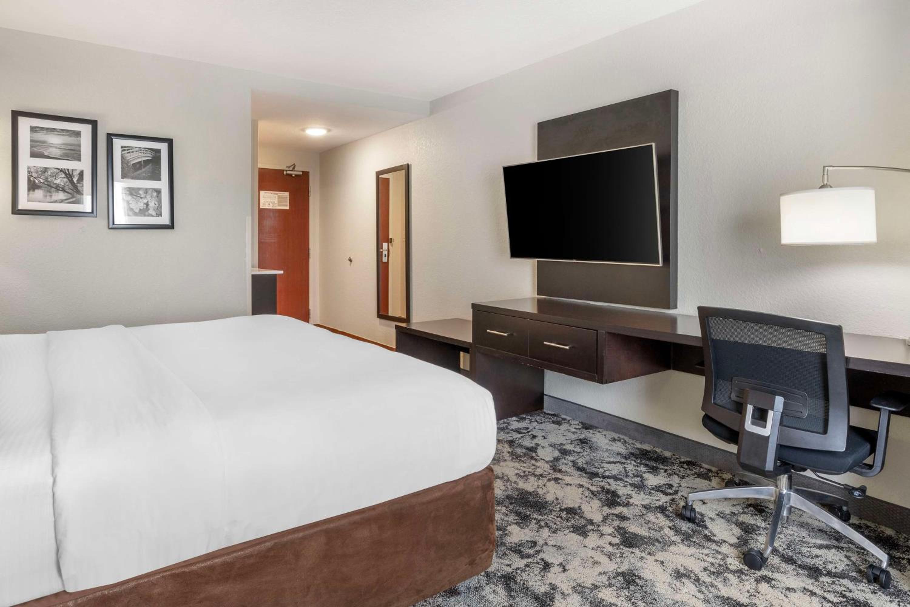 King Room - Photo 4