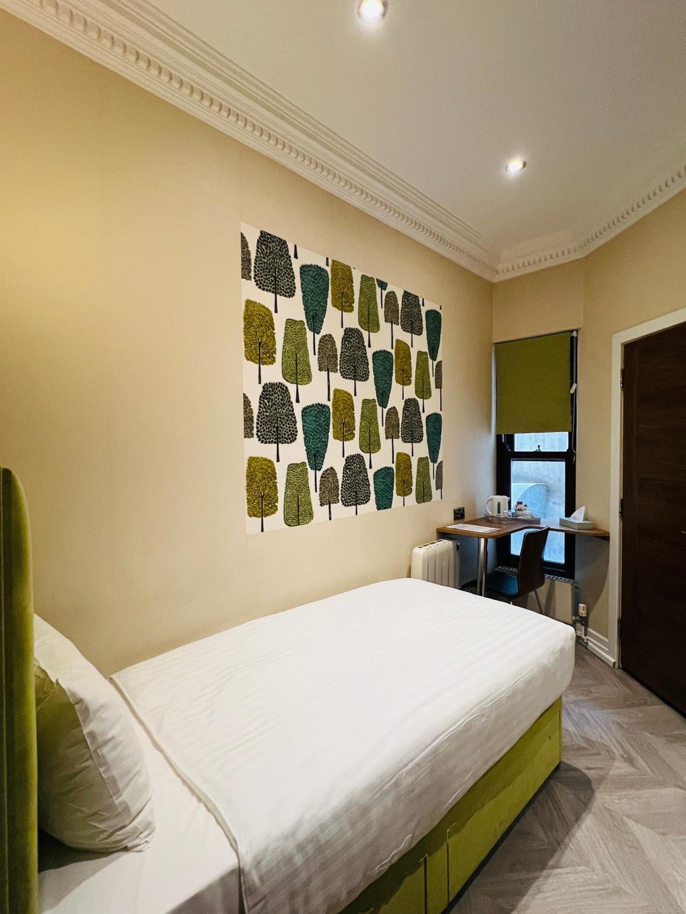 Single Room photo 1