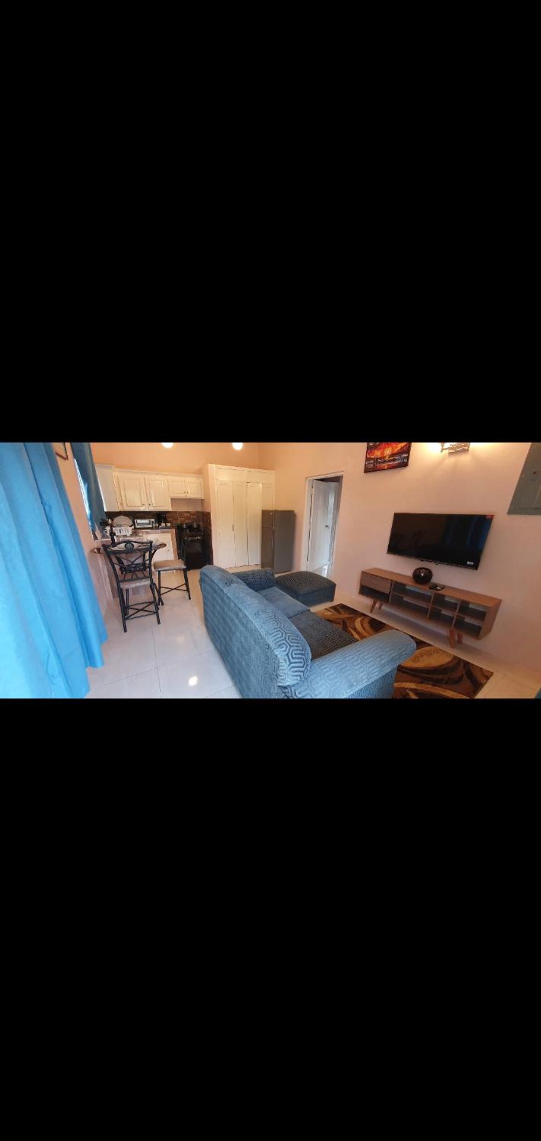 One-Bedroom Apartment photo 3