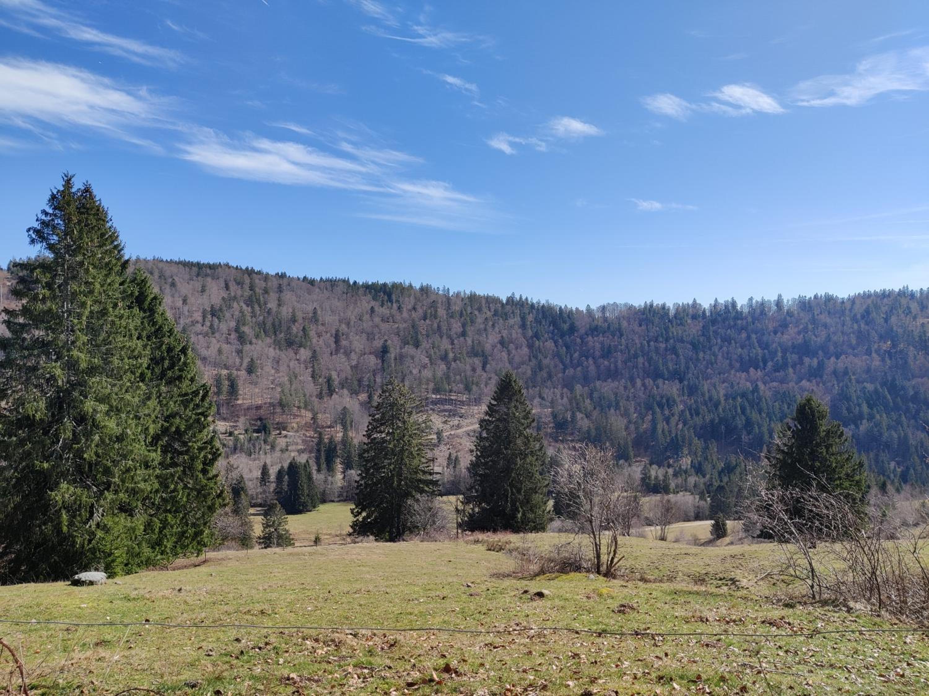 Quadruple Room - Photo 2