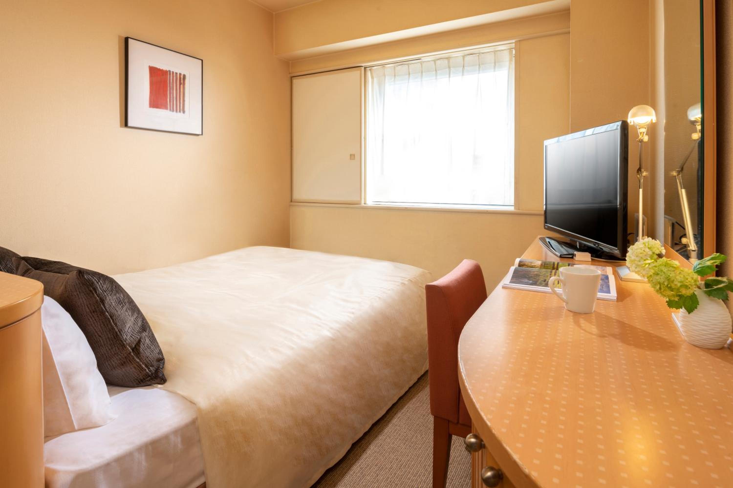 Deluxe Single Room - Non-Smoking photo 1