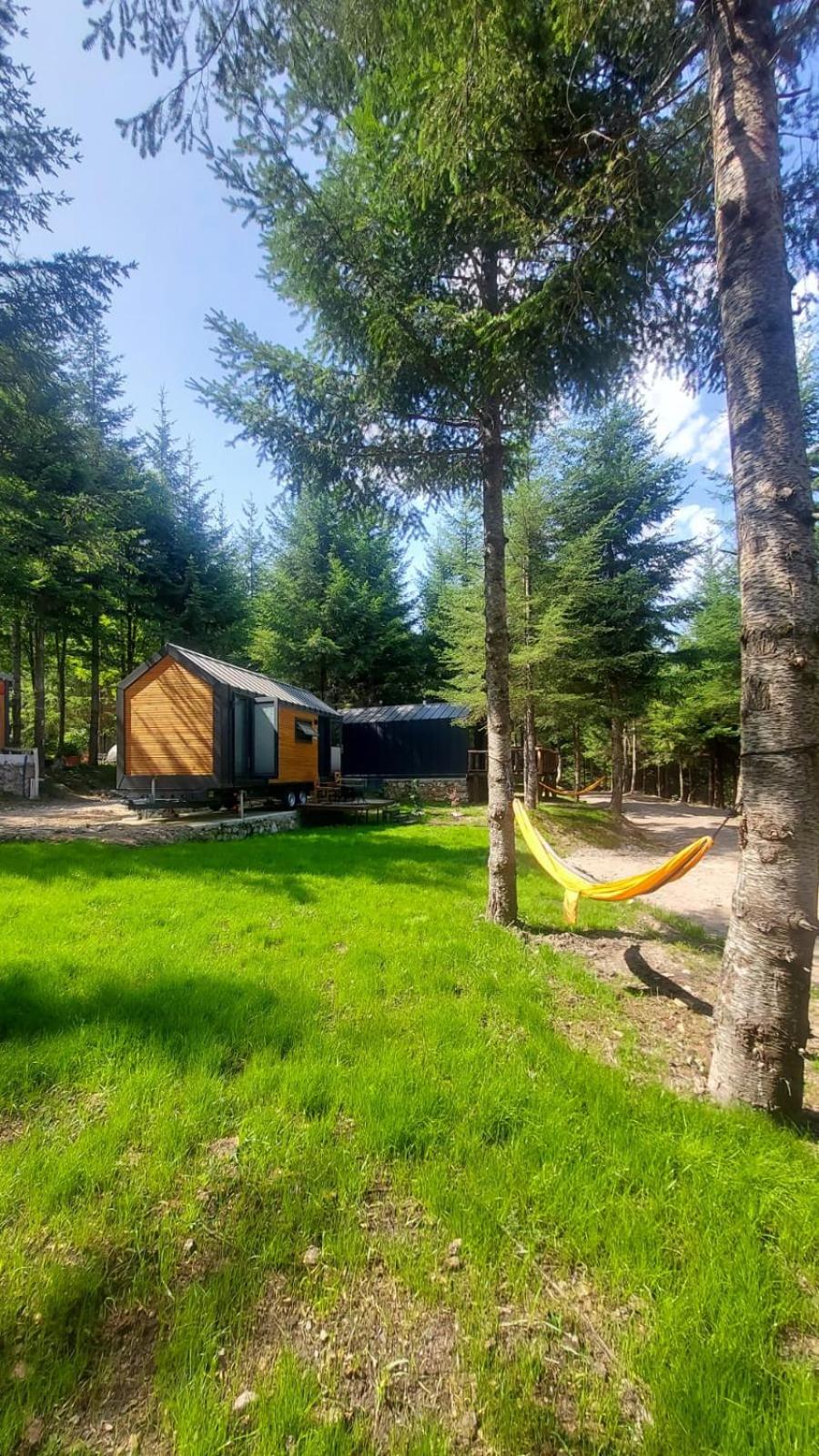 Mobile Home photo 2
