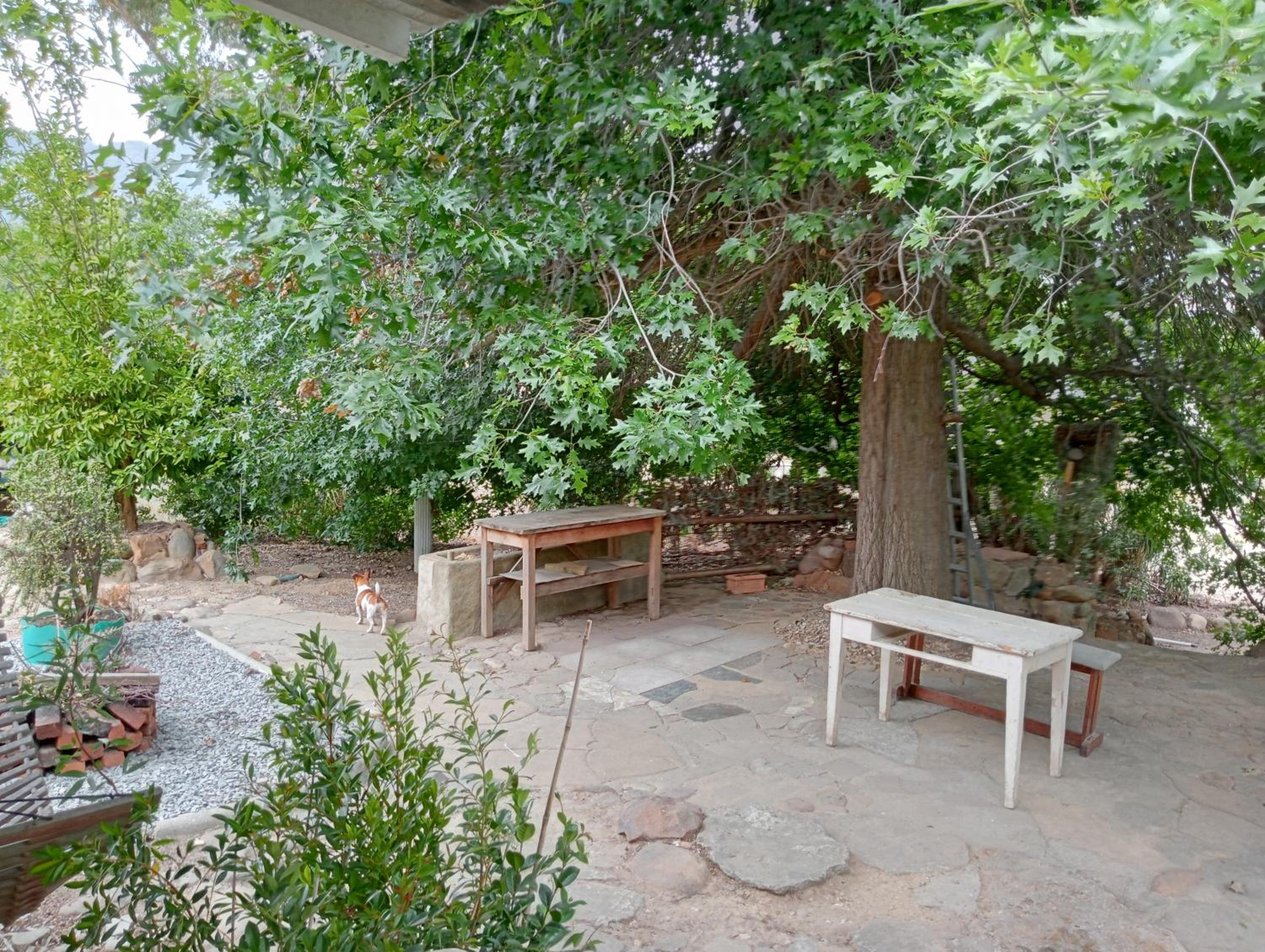 One-Bedroom Villa photo 2