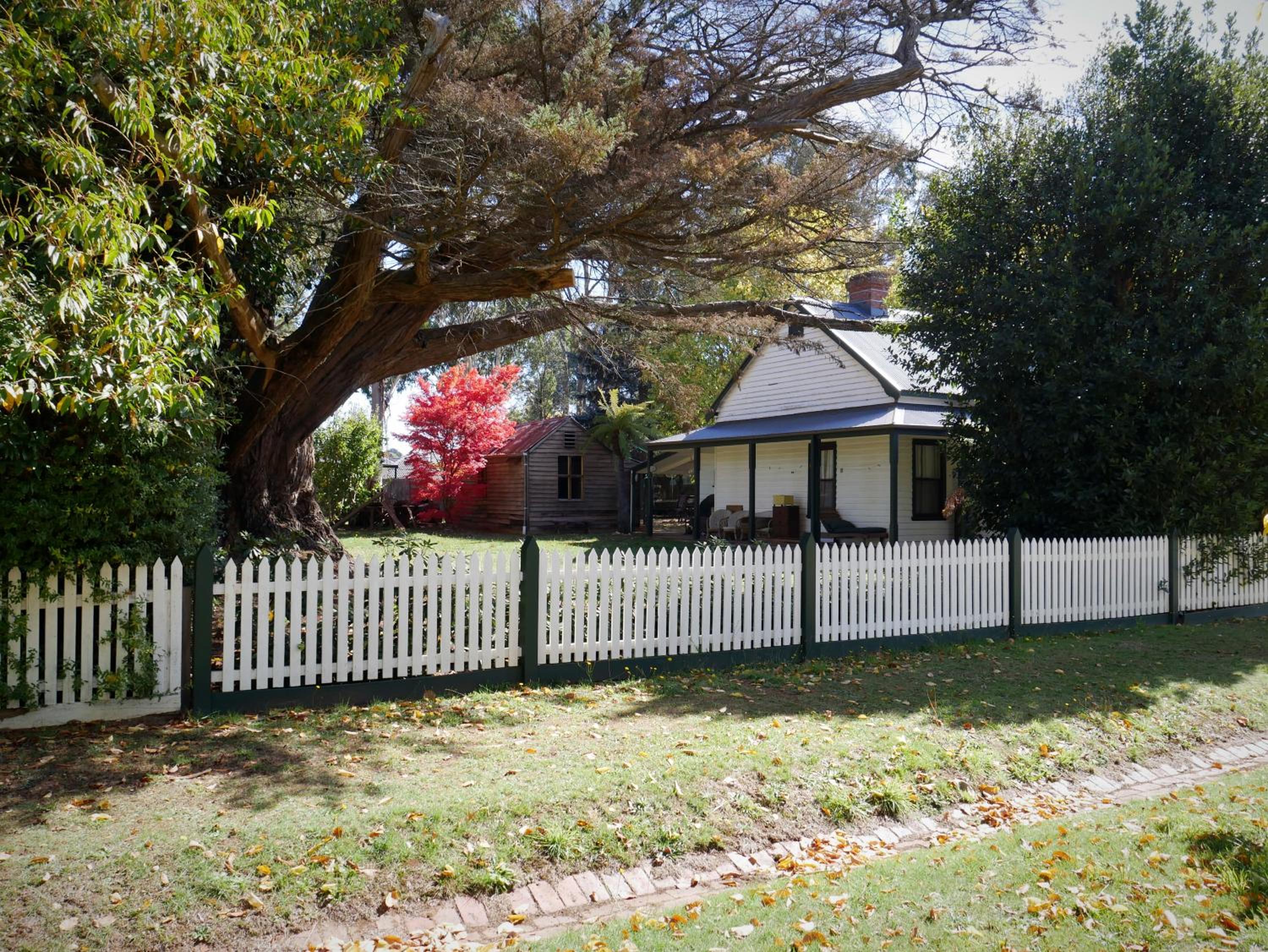 Three-Bedroom House photo 3