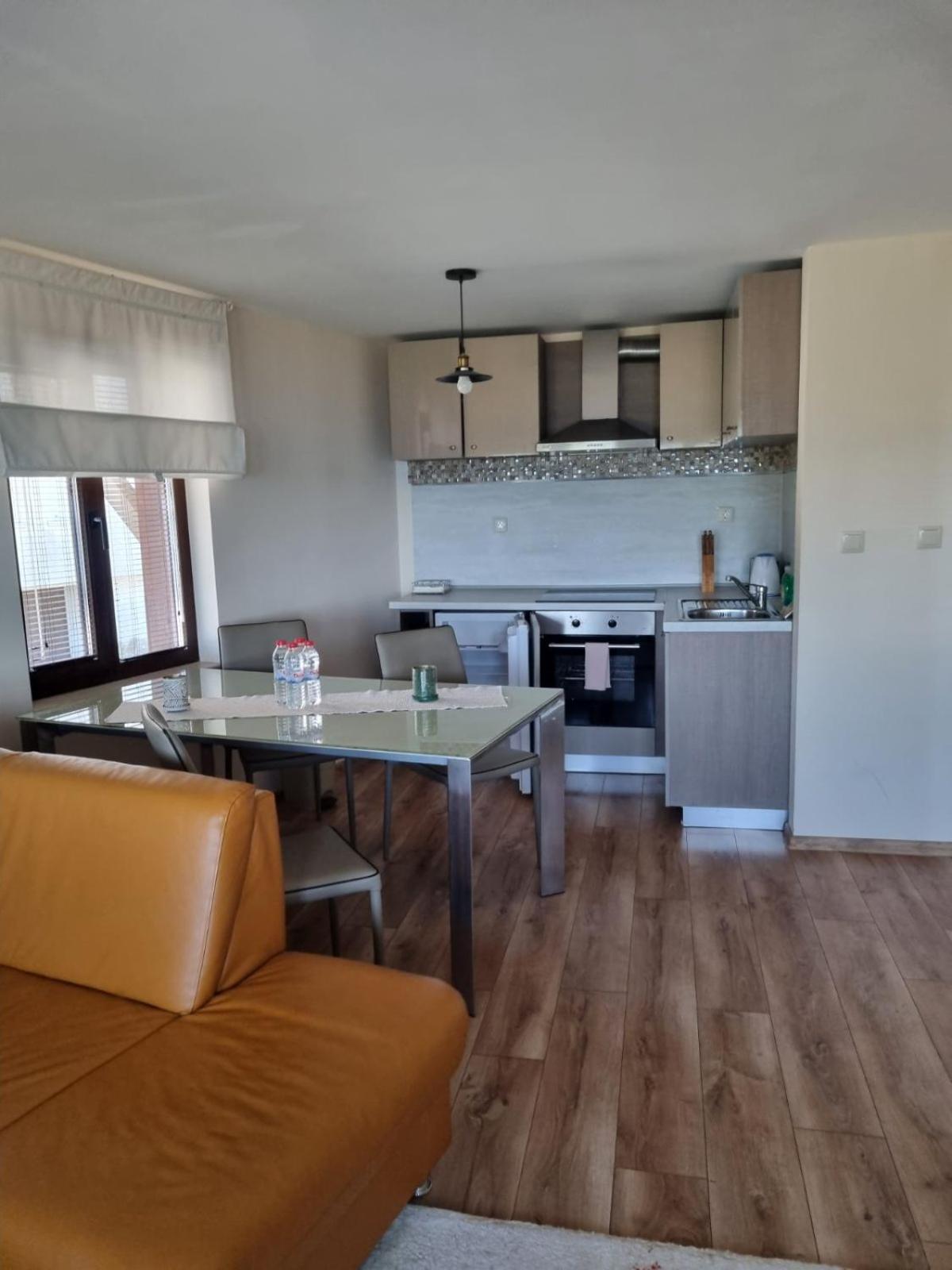 Deluxe One-Bedroom Apartment with Sea View photo 2
