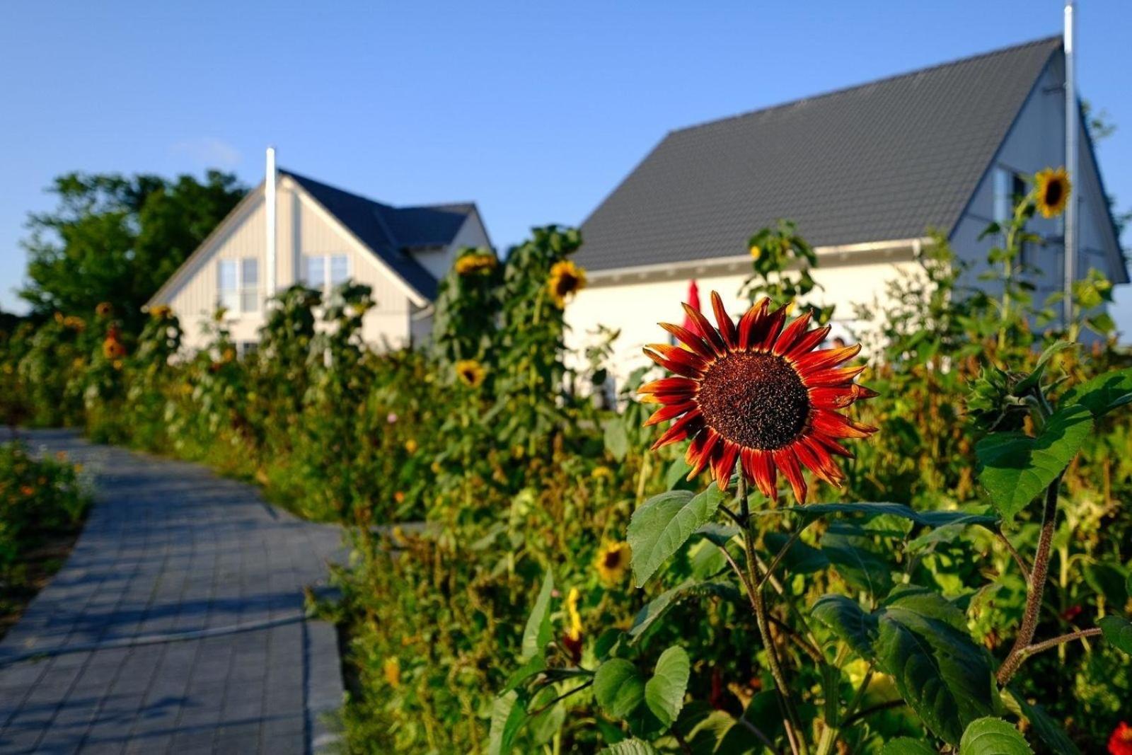 Holiday Home photo 2