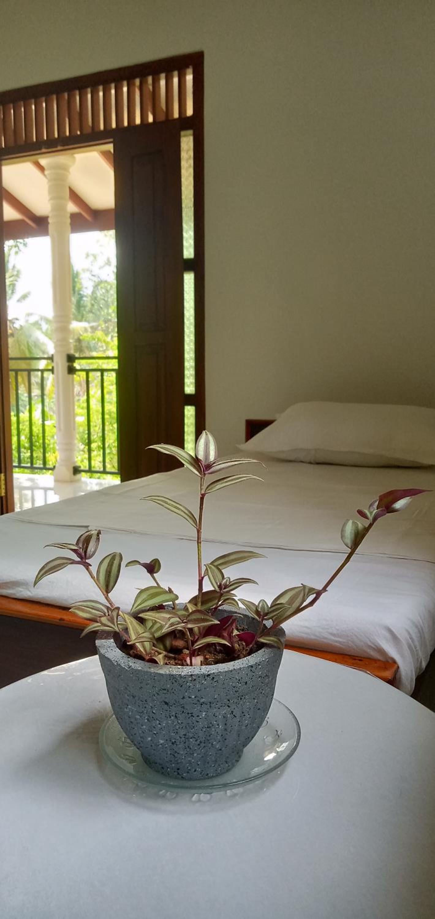 Triple Room with Private Bathroom photo 1