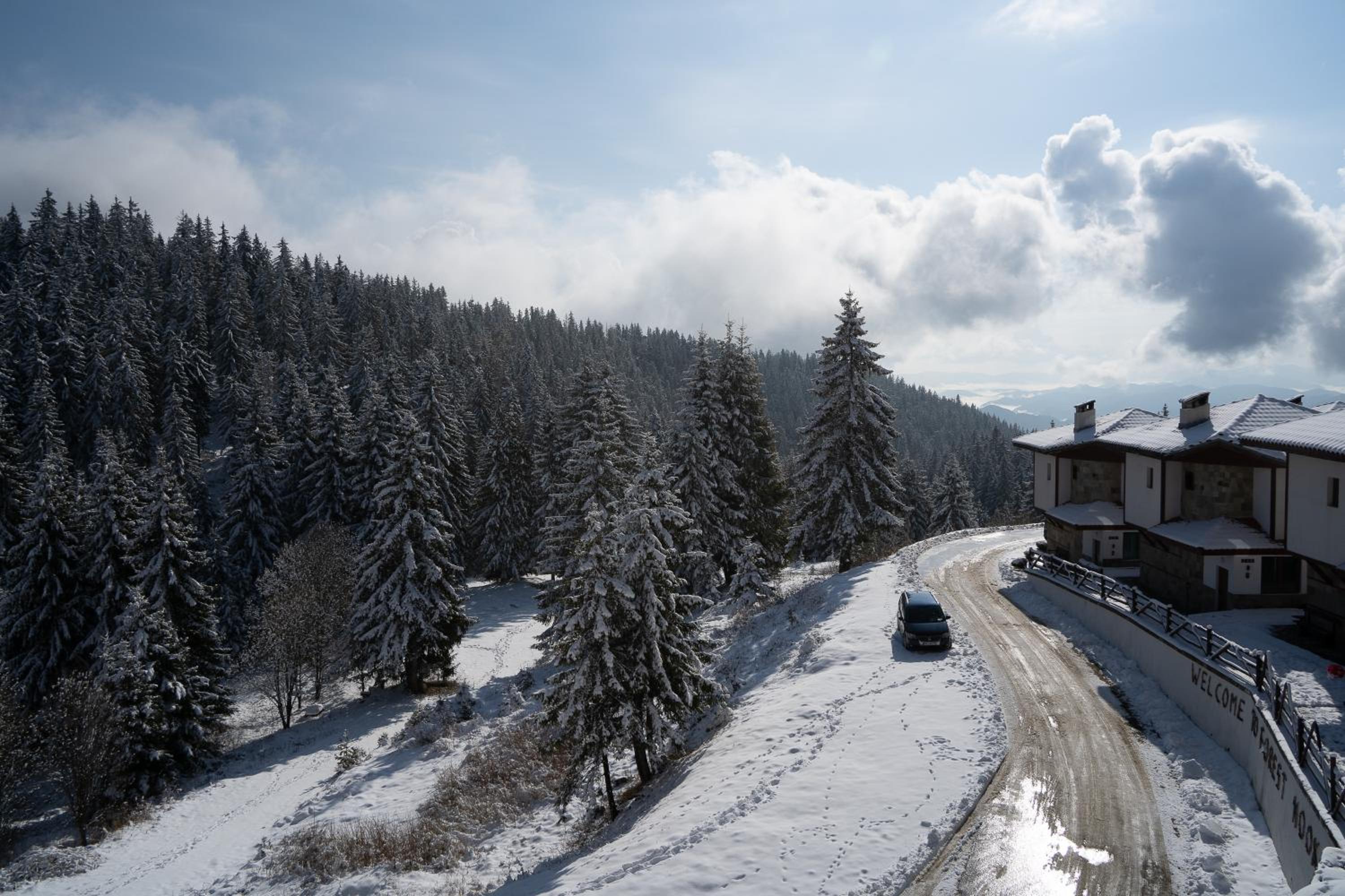 One-Bedroom Apartment photo 1