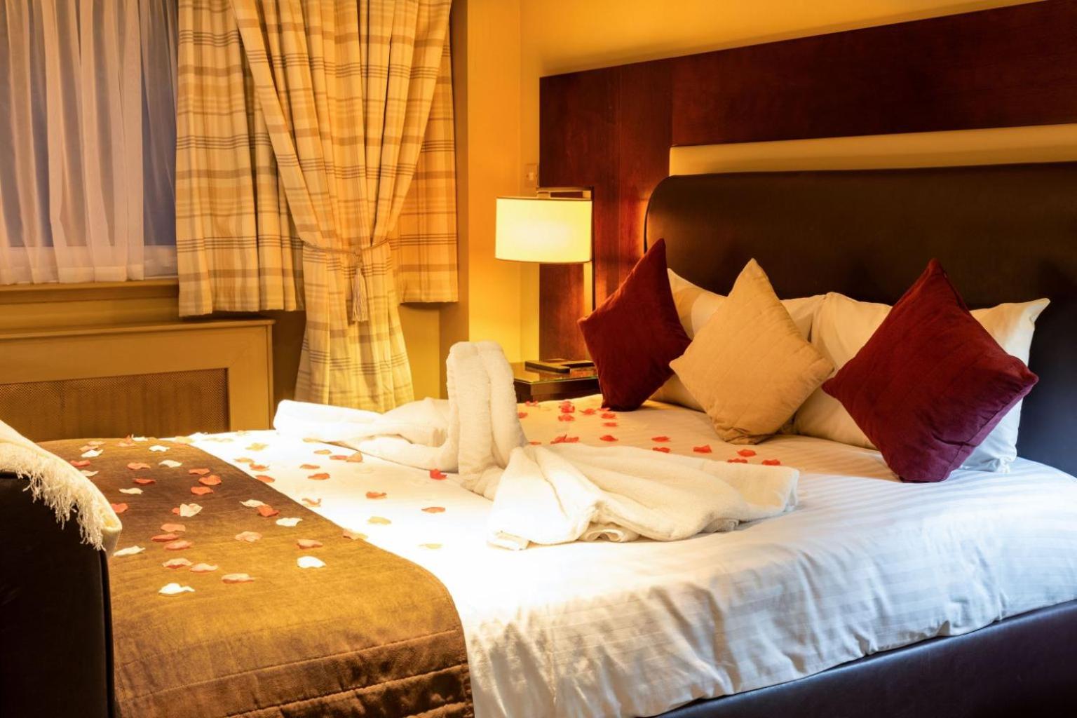 Suite - Photo 2