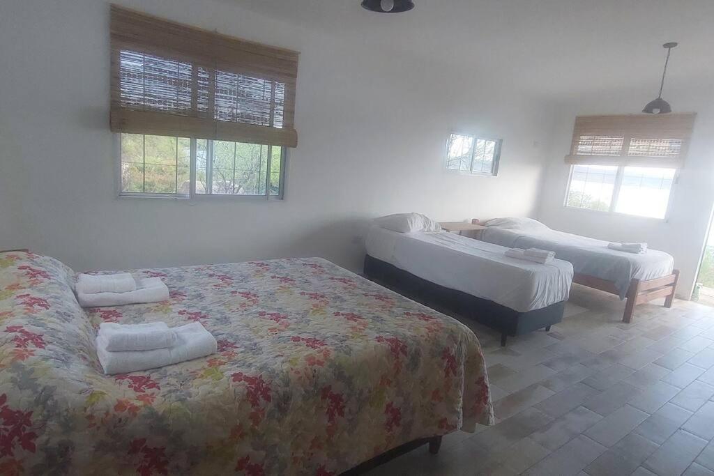 One-Bedroom House photo 1