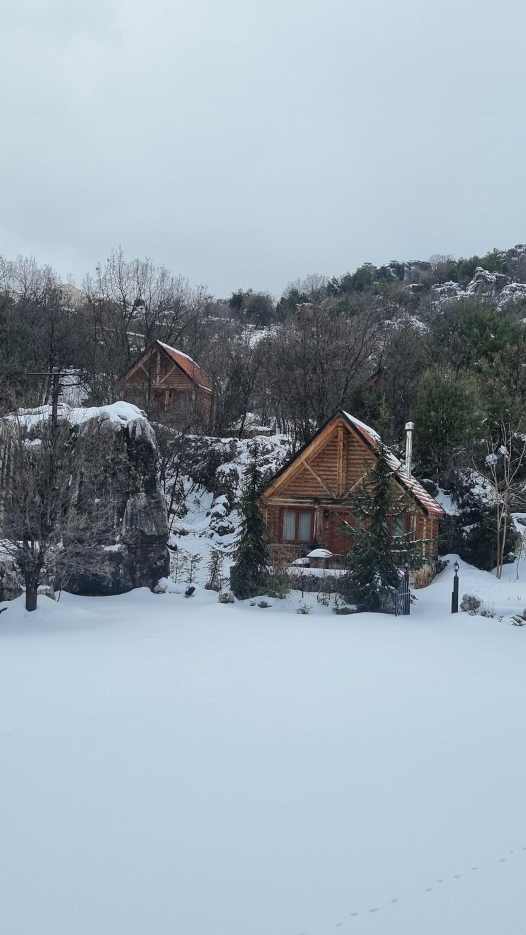One-Bedroom Bungalow