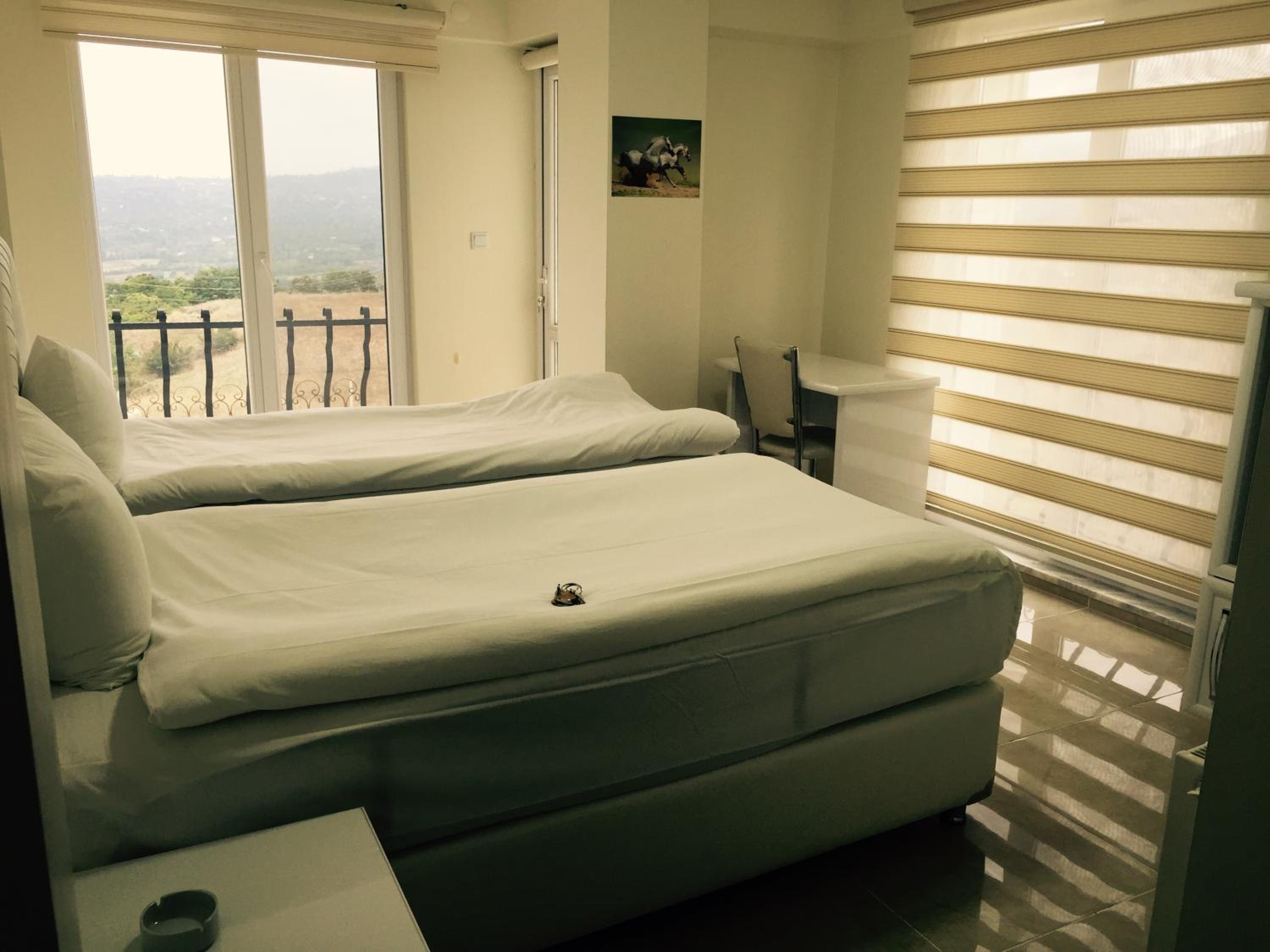 Deluxe Double or Twin Room - Photo 1