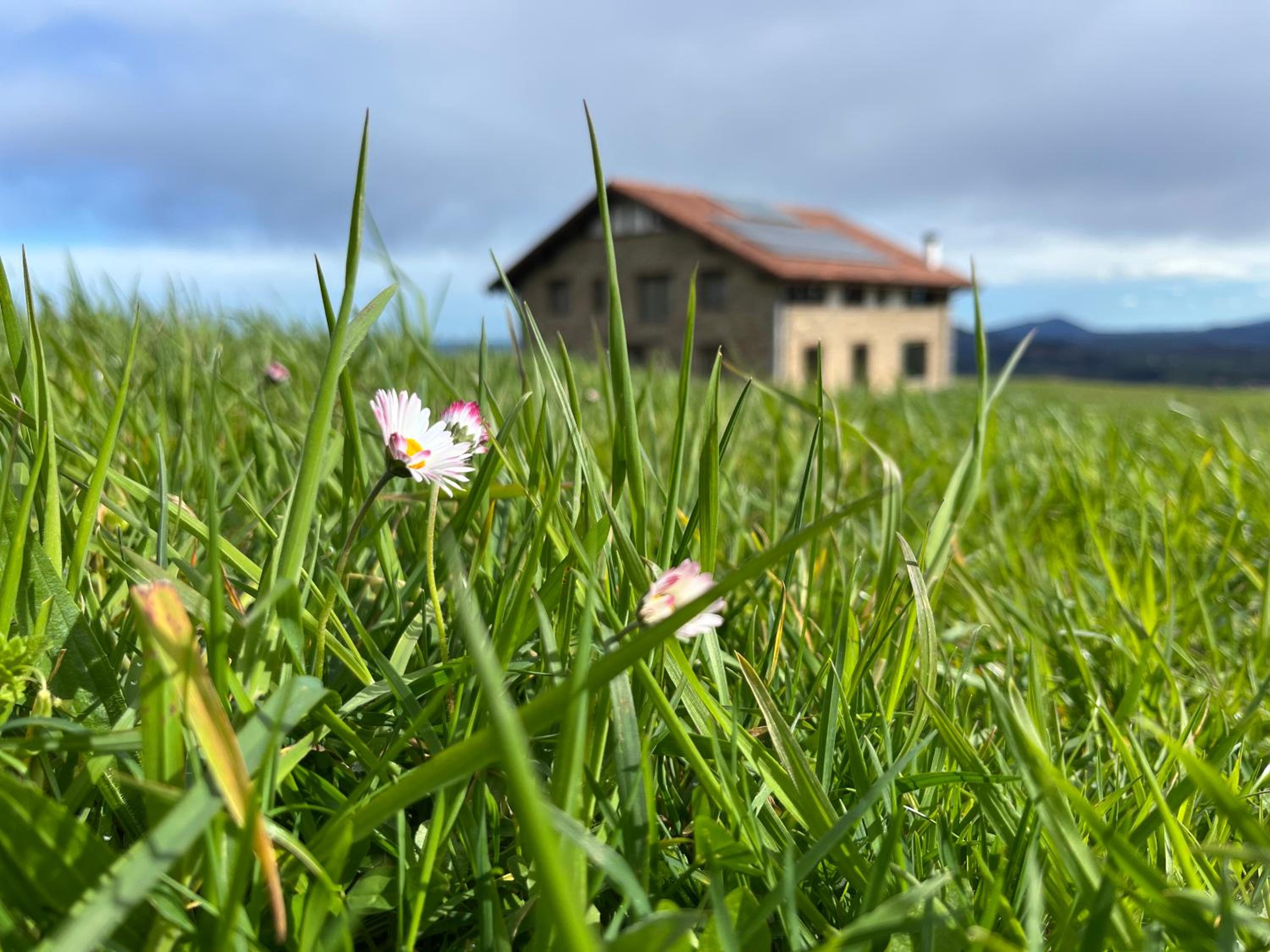 Villa photo 3