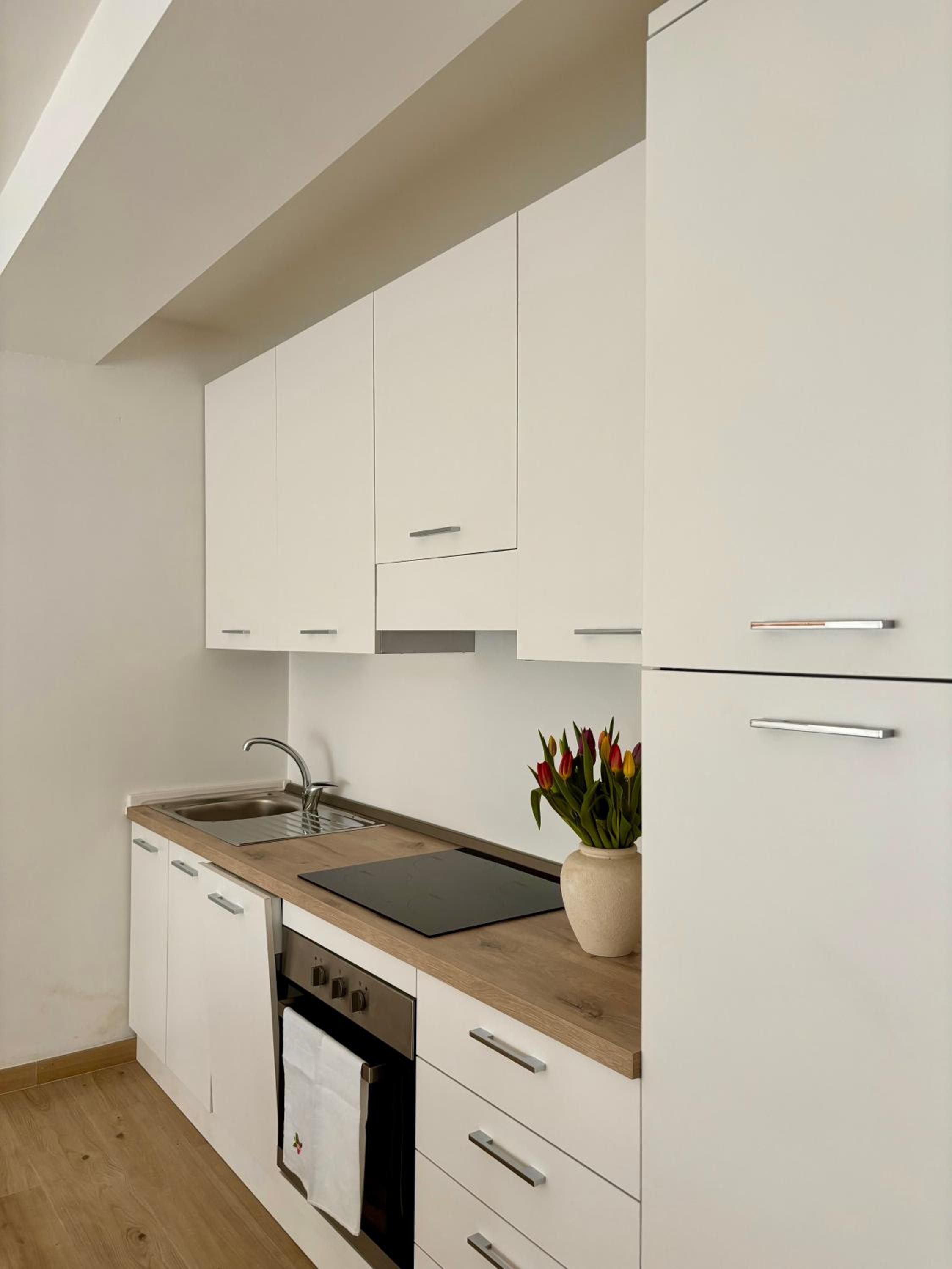 One-Bedroom Apartment photo 2