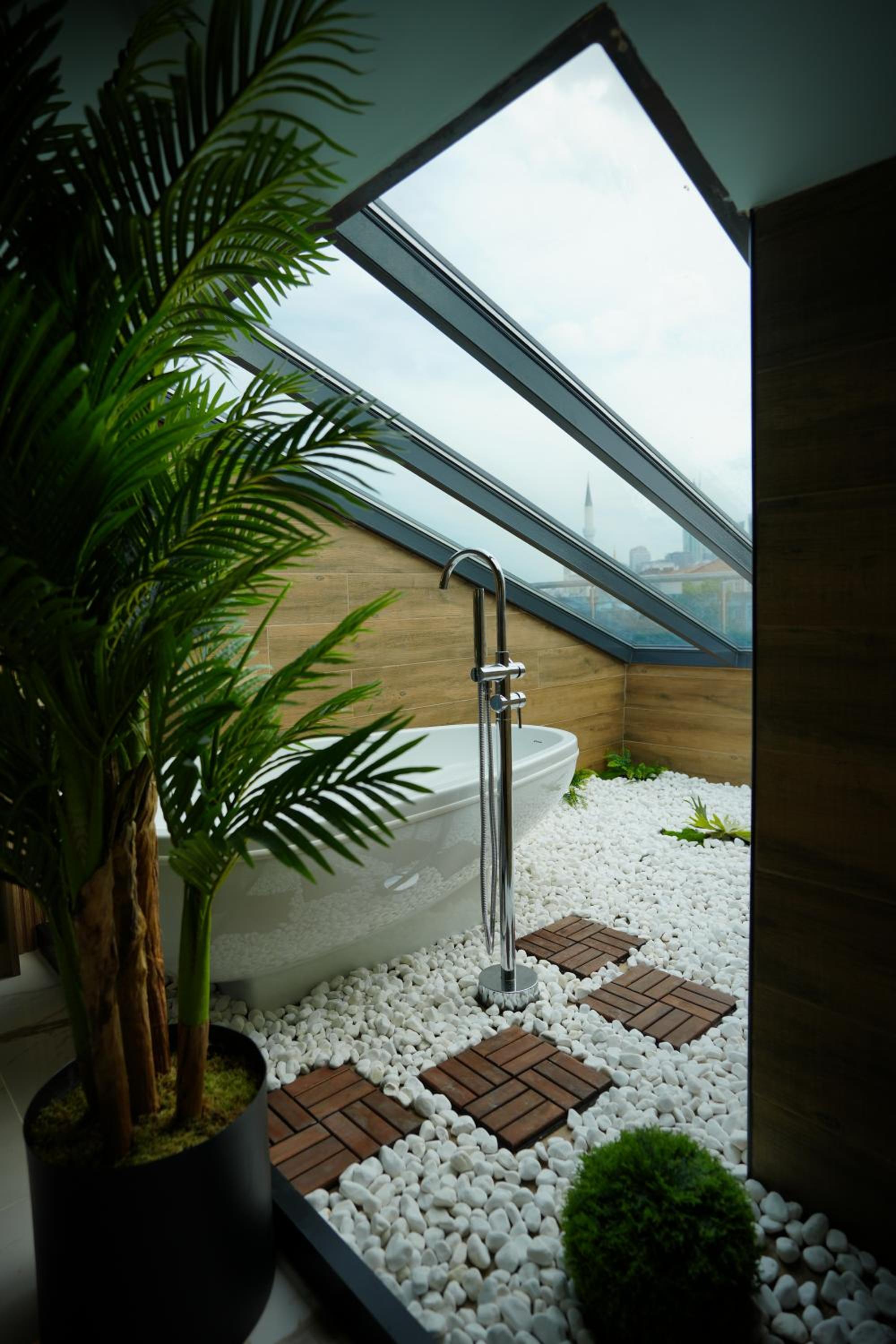 Studio with Terrace photo 3