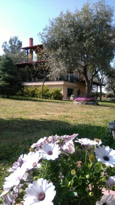 Five-Bedroom House photo 2