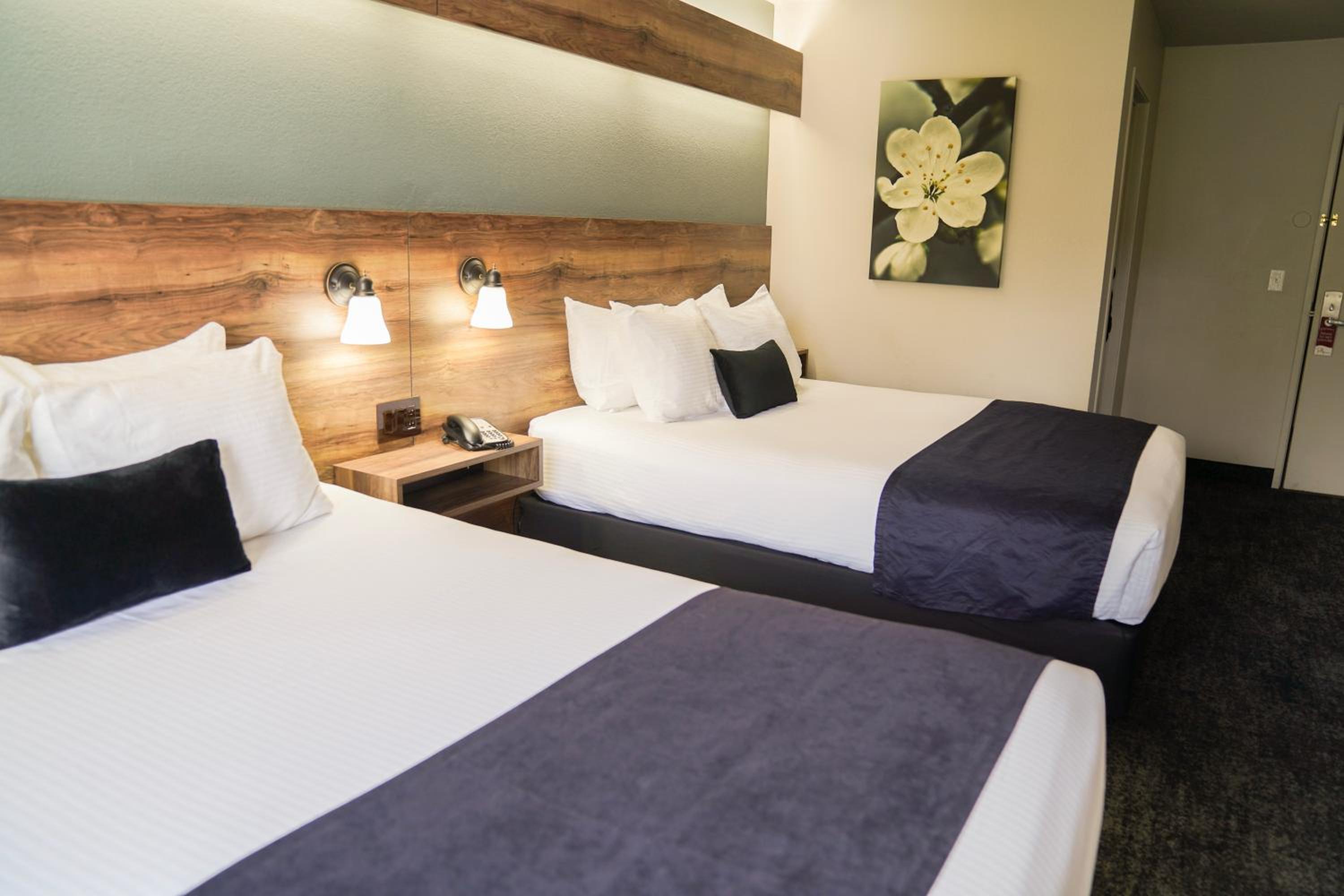 Queen Room with Two Queen Beds
