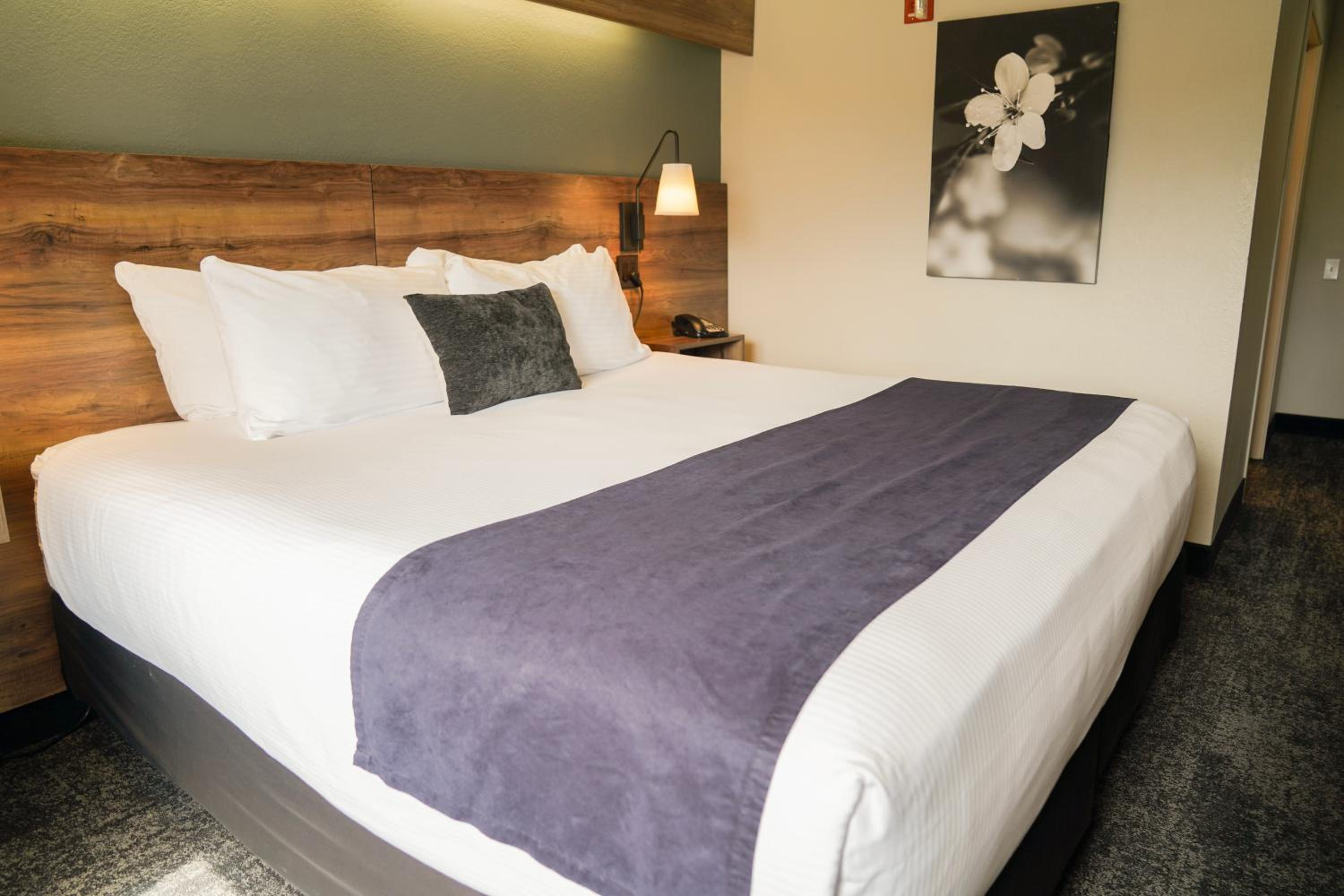 Hotel Ruby Sandpoint, 사진 5