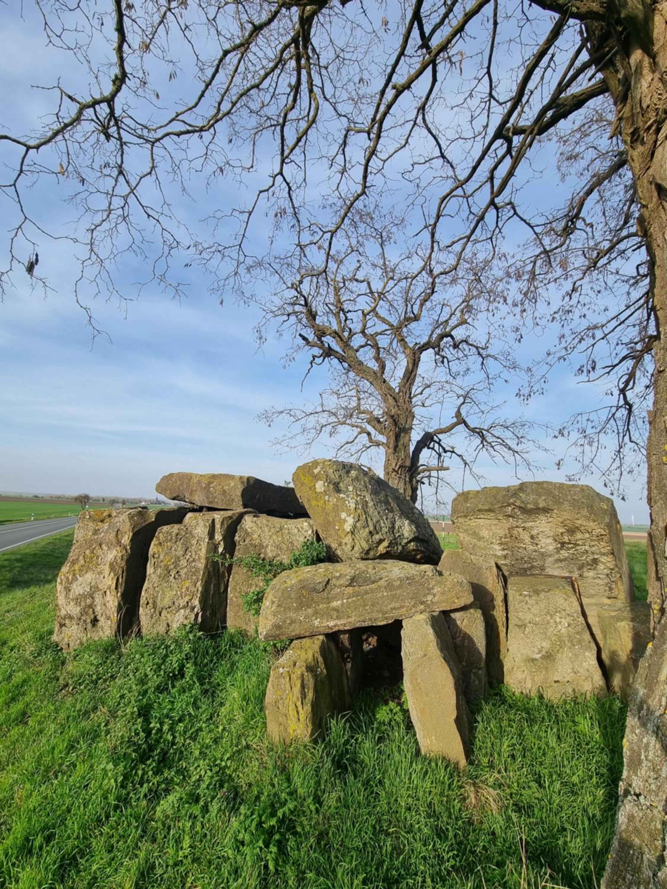 Two-Bedroom Apartment photo 3