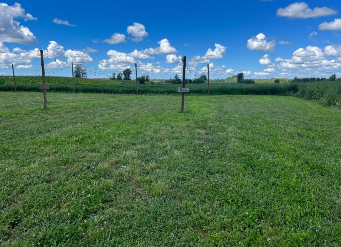 Empty Lot photo 1