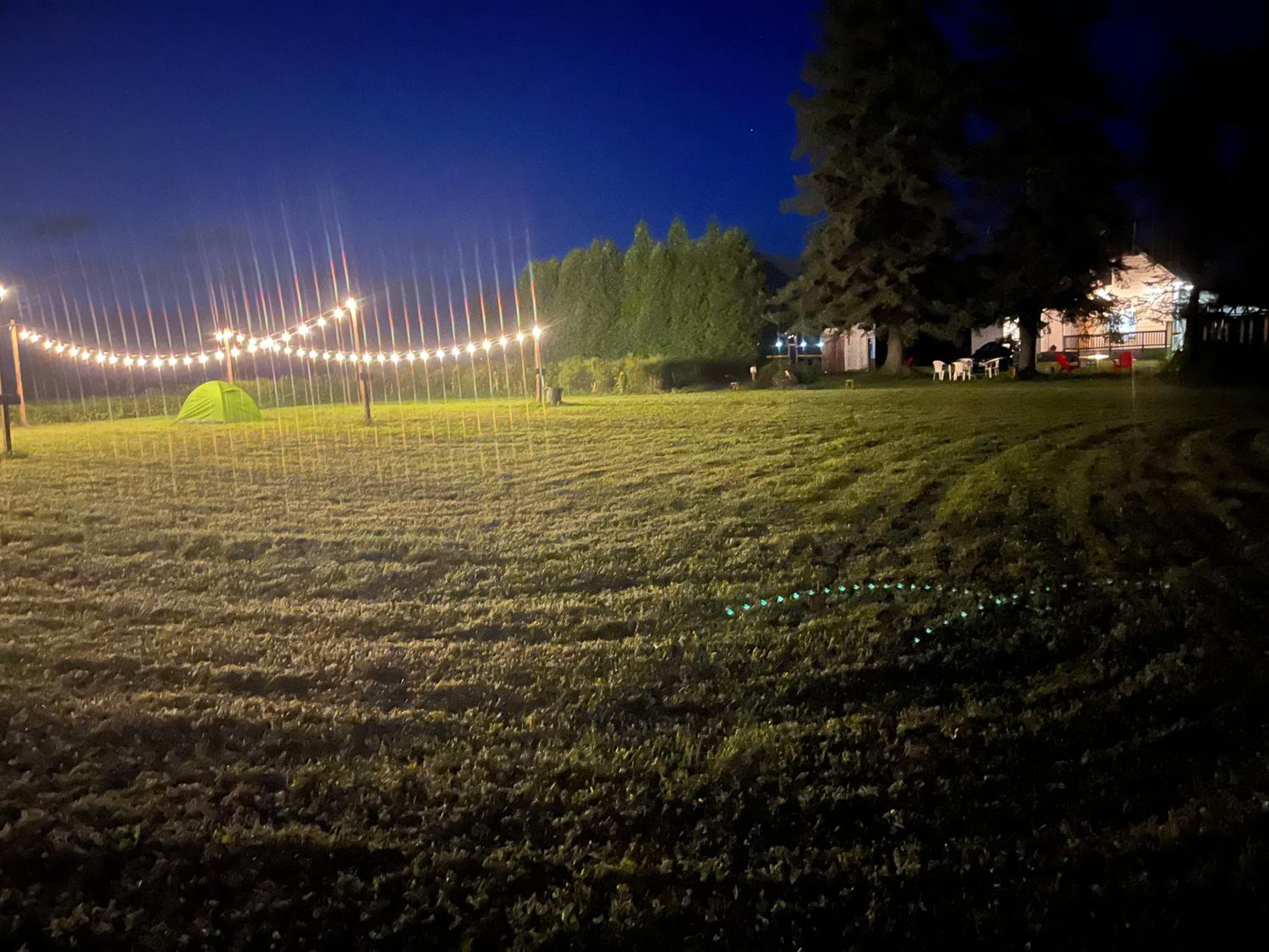 Empty Lot photo 2