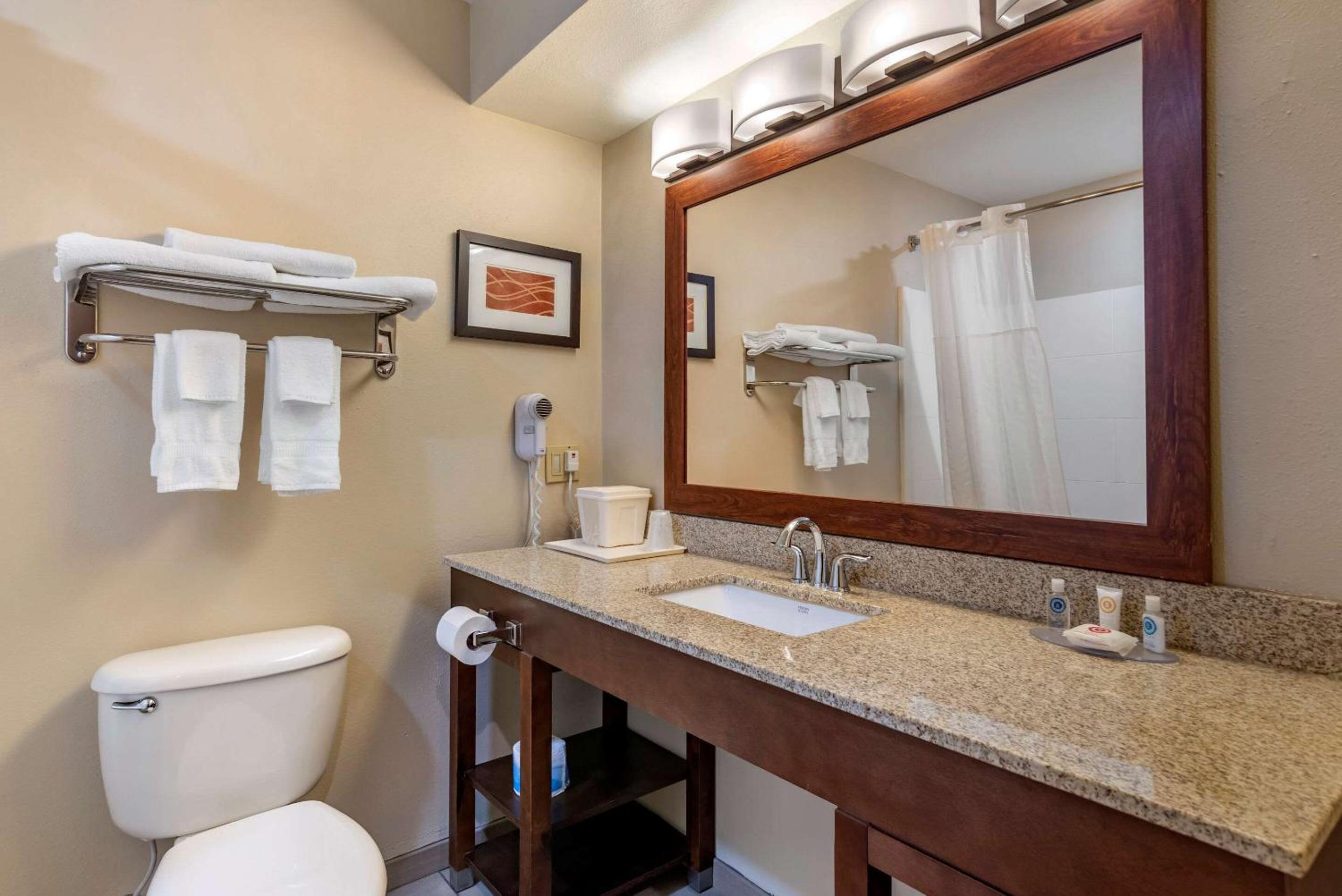 King Suite - Non-Smoking - Photo 2