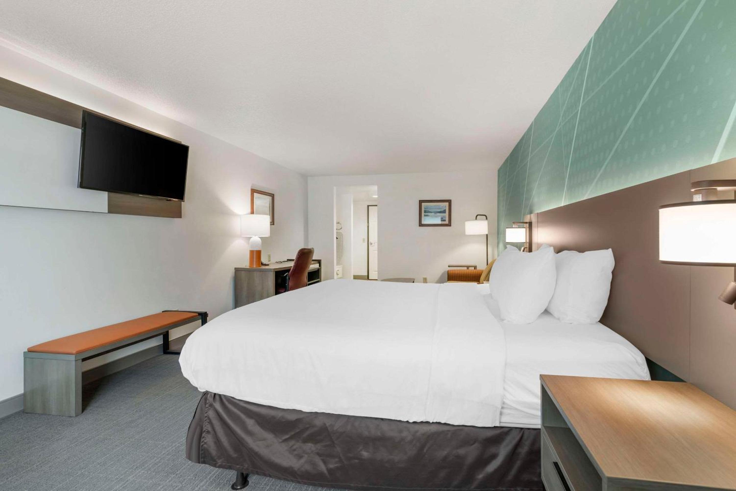 King Room with Accessible Tub and Sofa Bed - Accessible/Non-Smoking - Photo 2