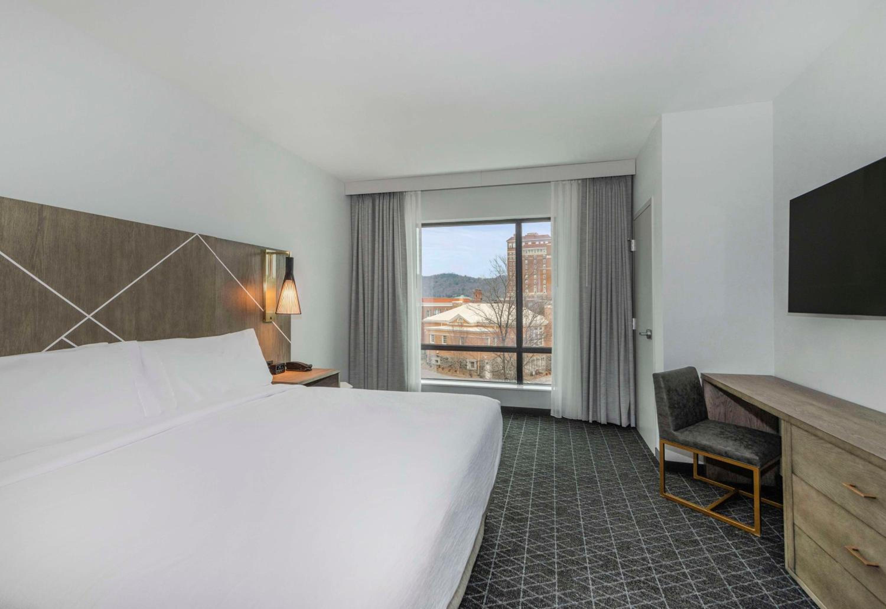 One-Bedroom King Suite with Mountain View - Photo 3