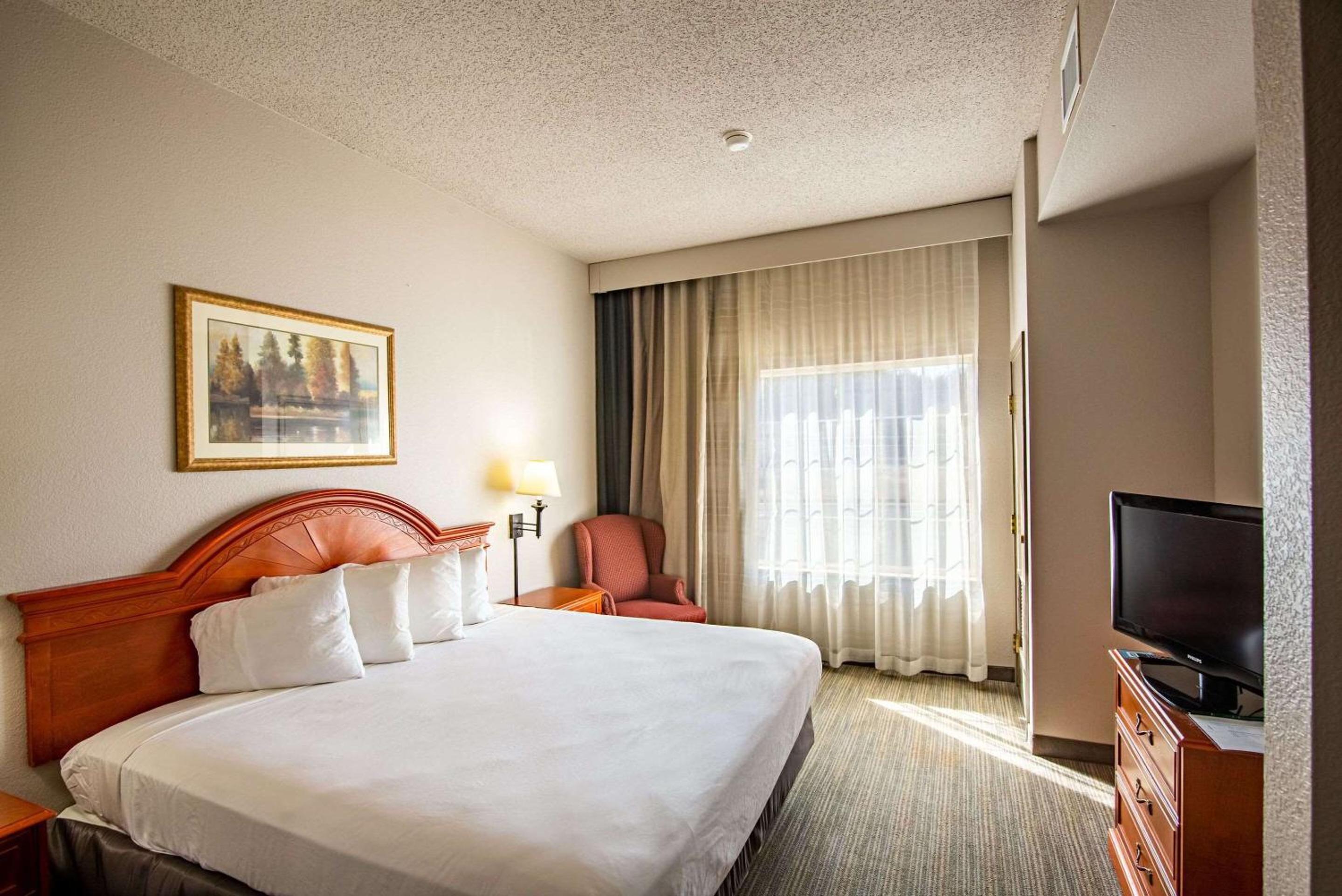 One-Bedroom King Suite - Non-Smoking - Photo 1