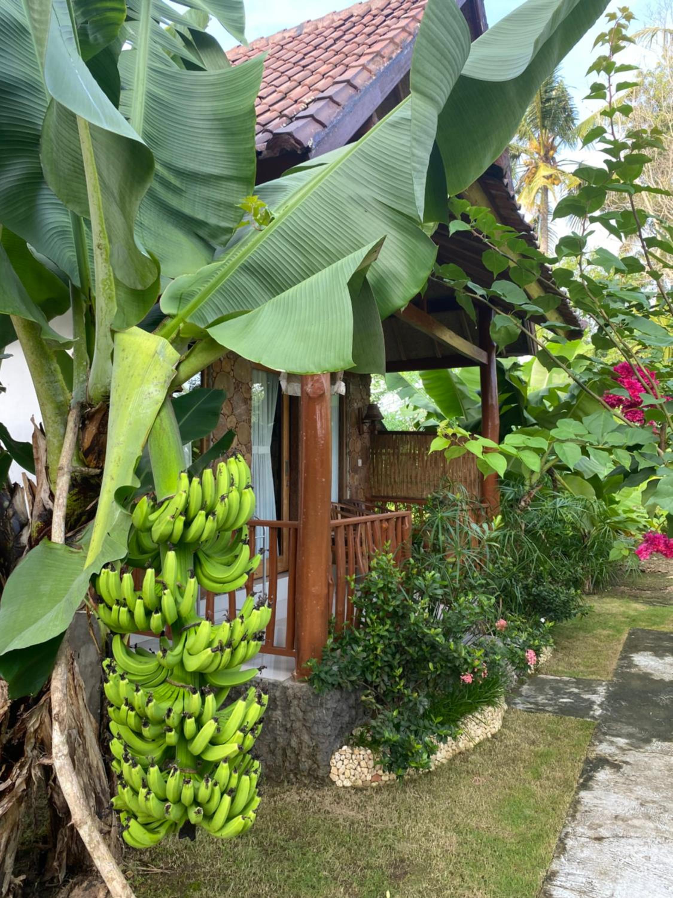 Double Room with Garden View - Photo 2