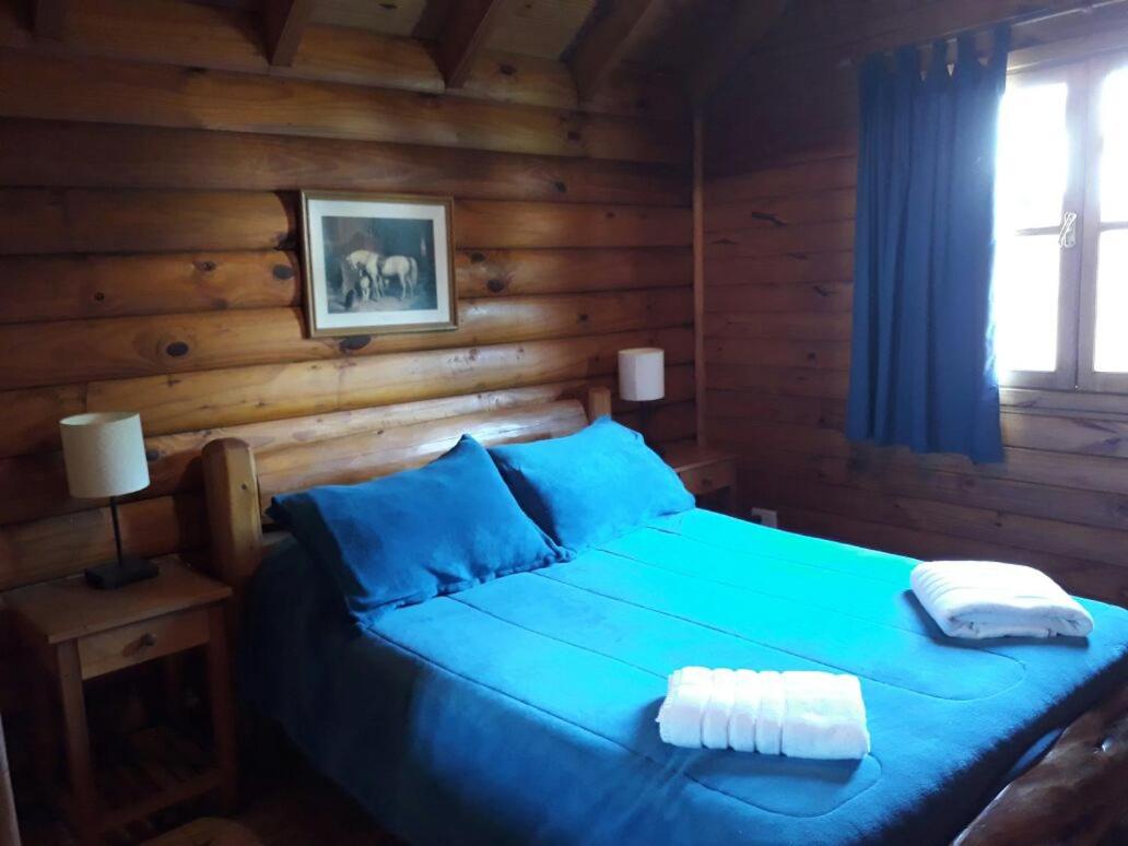Apartment - Split Level photo 1