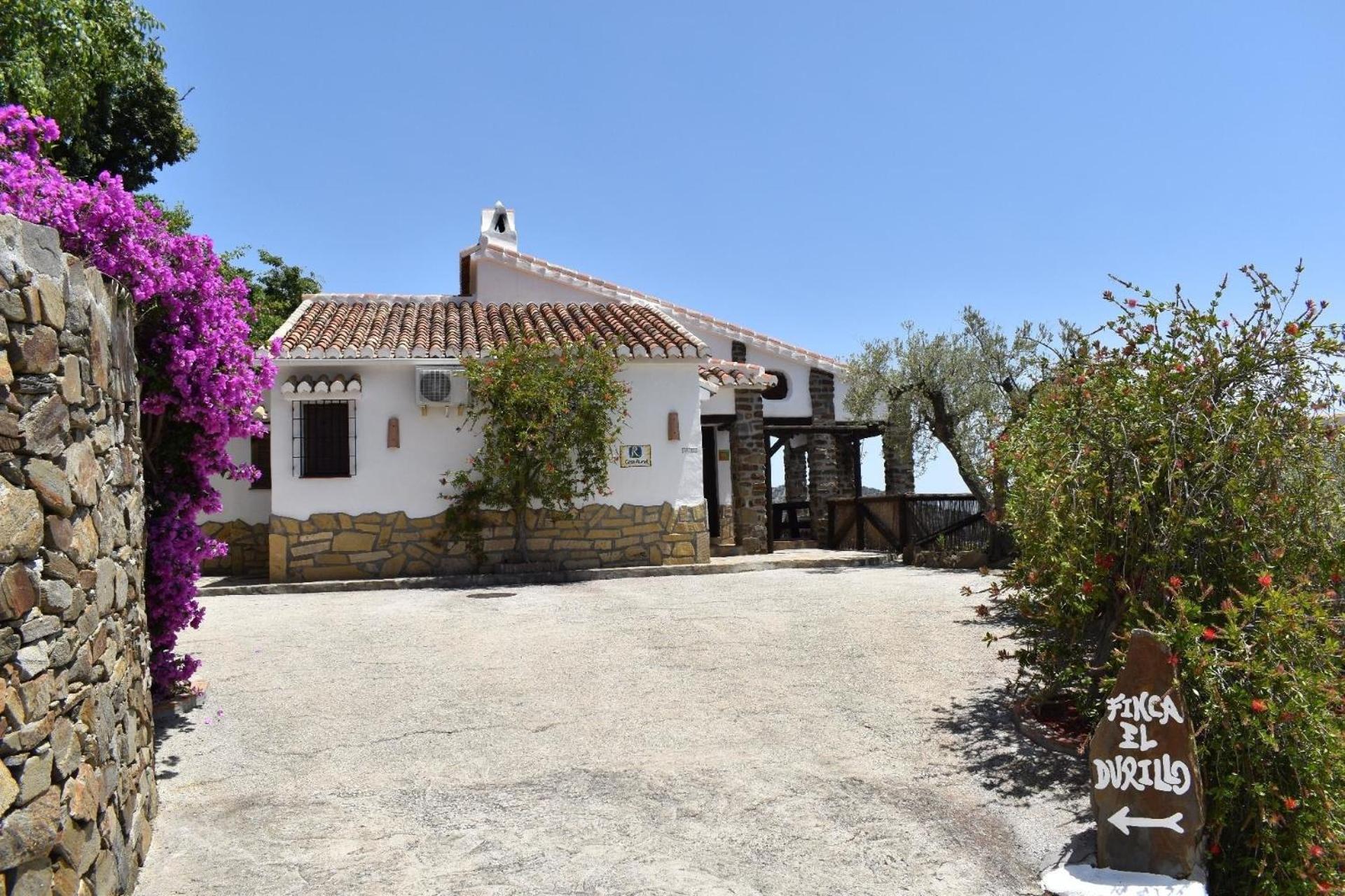Three-Bedroom Vacation Home  photo 2