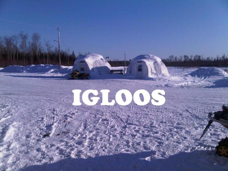 Igloo (2 Adults) photo 2