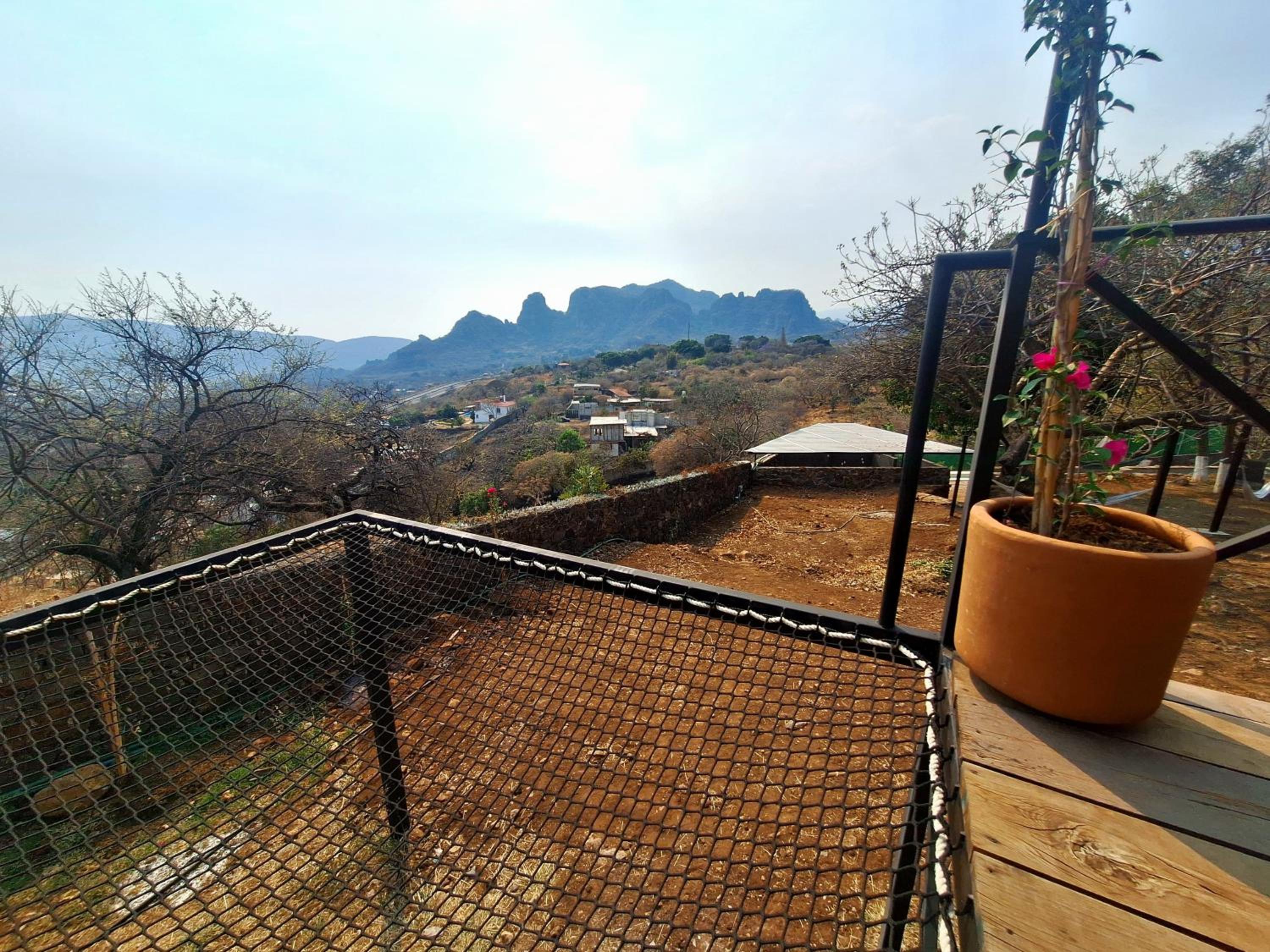 Bungalow with Garden View - Photo 23