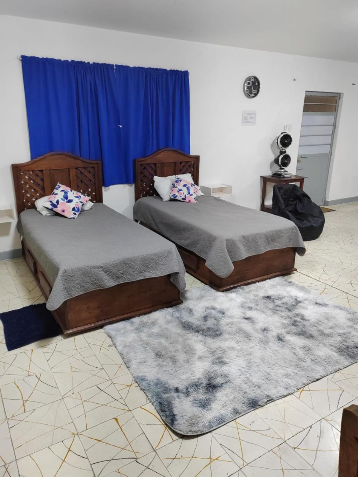 Apartment with Terrace photo 2