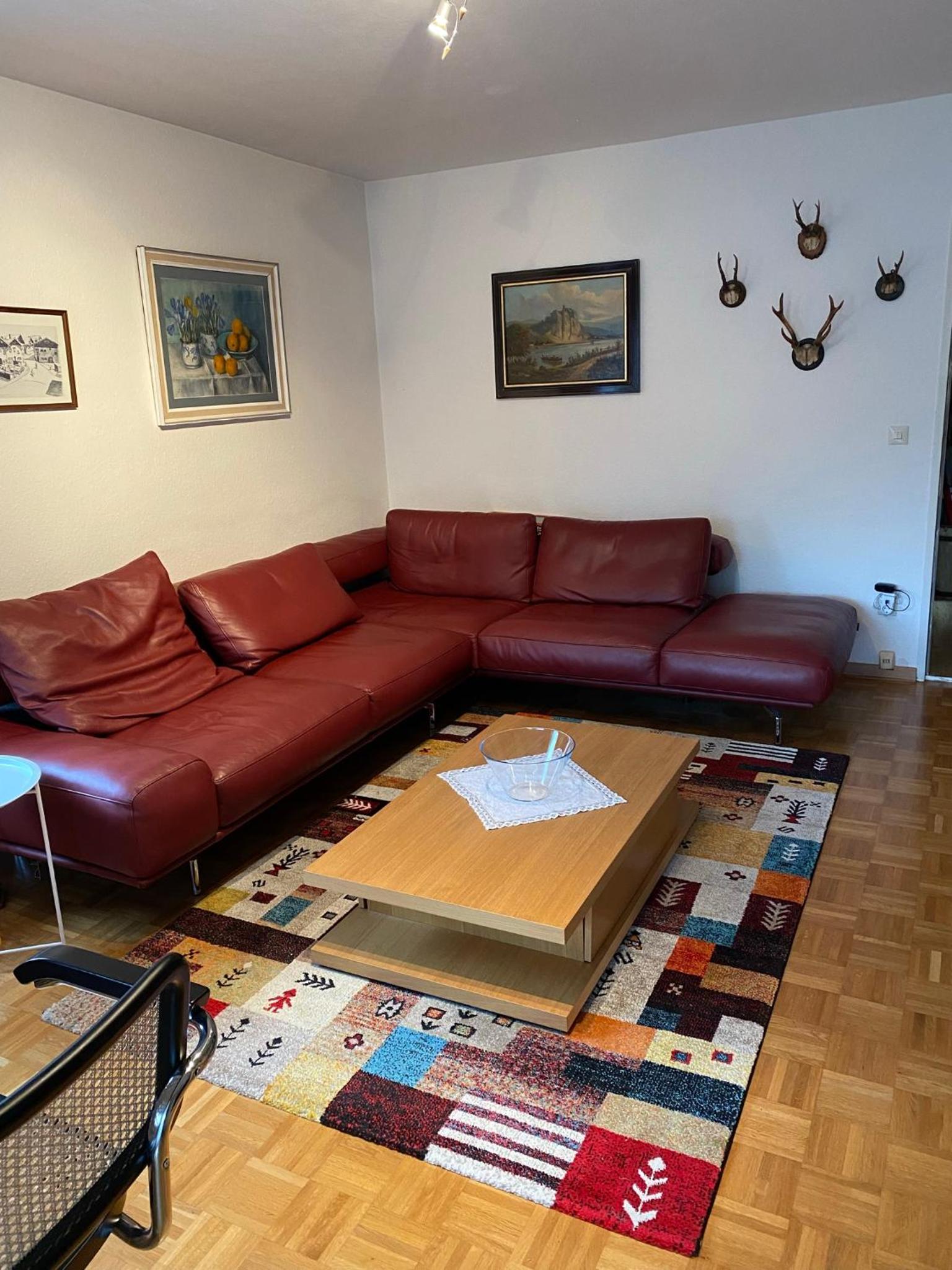 Superior One-Bedroom Apartment with Balcony photo 3