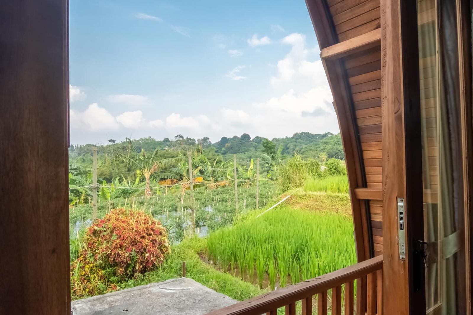 Double Room with Terrace photo 3
