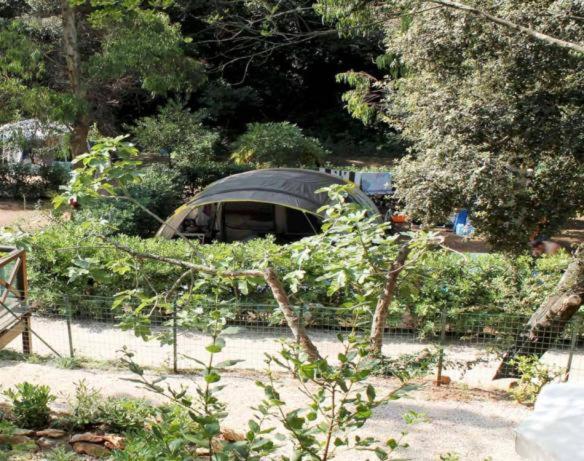 Comfort Empty Lot (Bring Your Own Tent) photo 3